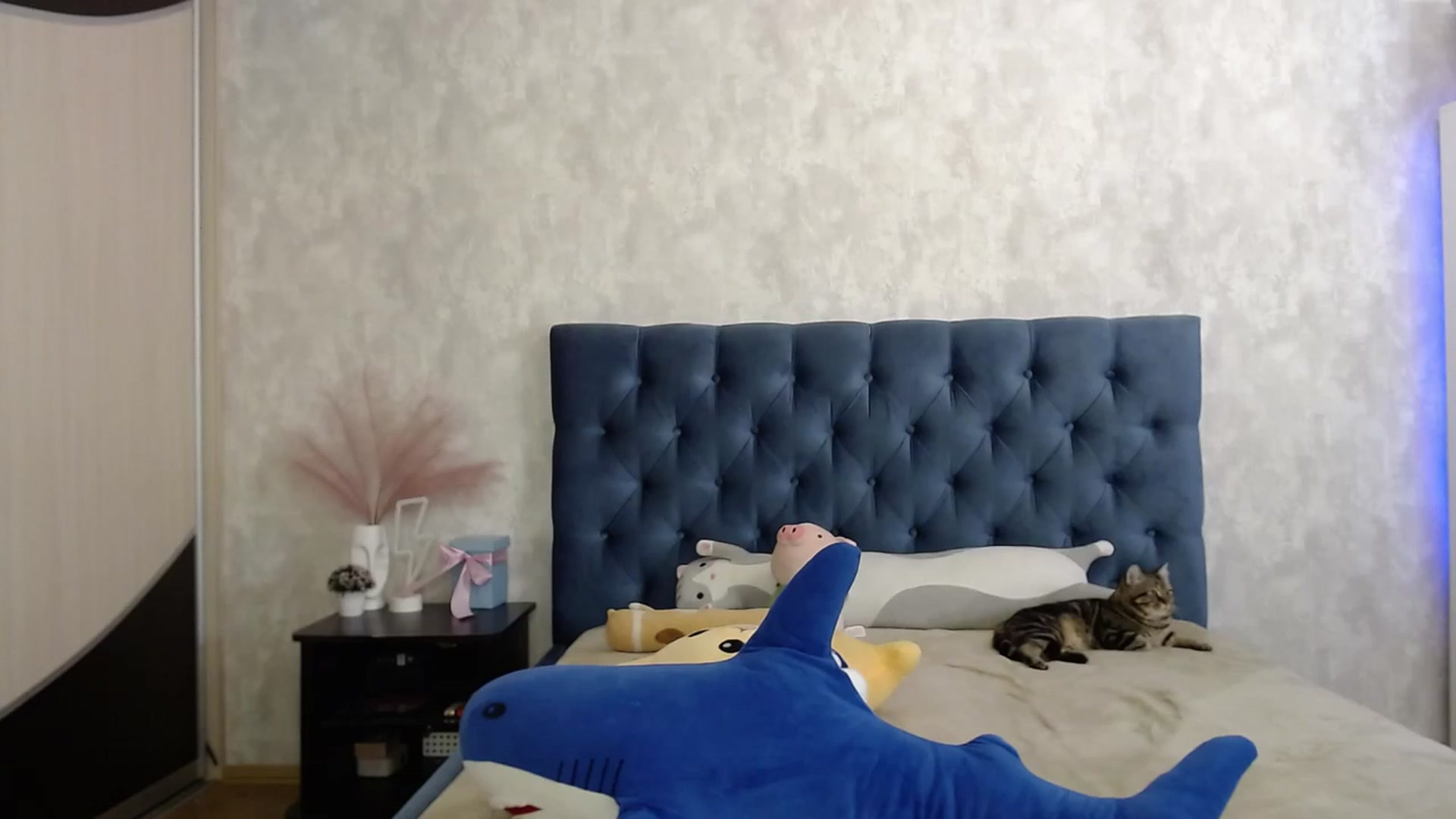 Gallery image thumbnail from Lio_noy's myfreecams stream on, 09/29/2023, 24:10 image 5 of 20