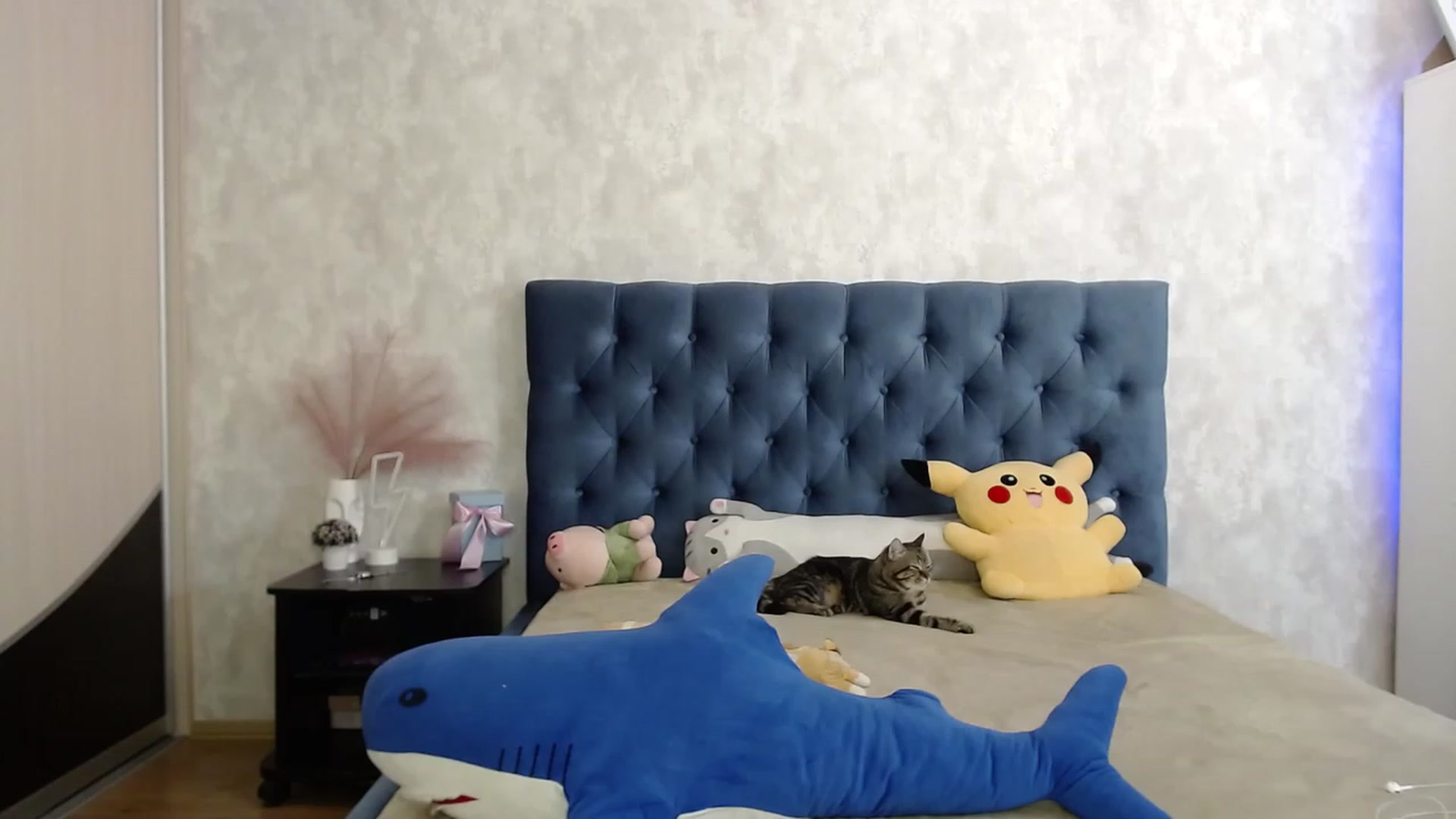Gallery image thumbnail from Lio_noy's myfreecams stream on, 10/02/2023, 22:44 image 16 of 20