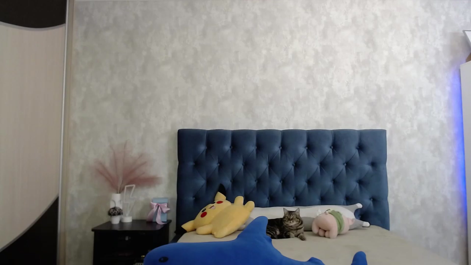 Gallery image thumbnail from Lio_noy's myfreecams stream on, 10/08/2023, 22:53 image 15 of 20