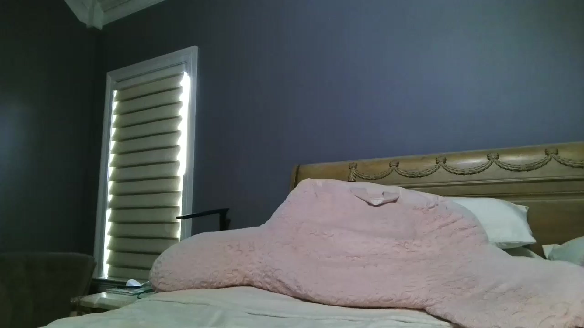 Gallery image thumbnail from LisaLondon's myfreecams stream on, 07/22/2026, 14:22 image 12 of 20