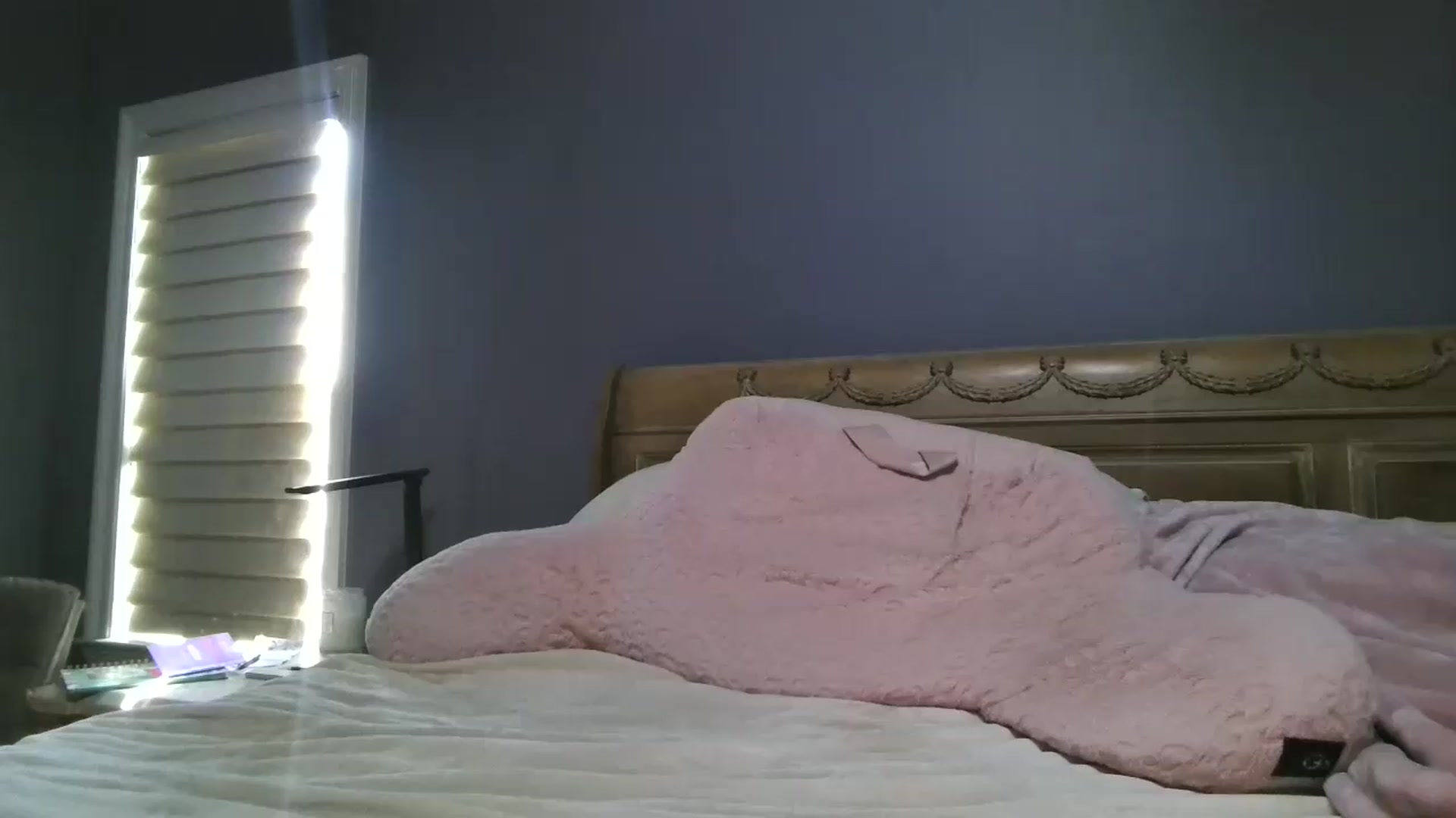 Gallery image thumbnail from LisaLondon's myfreecams stream on, 07/26/2026, 14:53 image 1 of 20