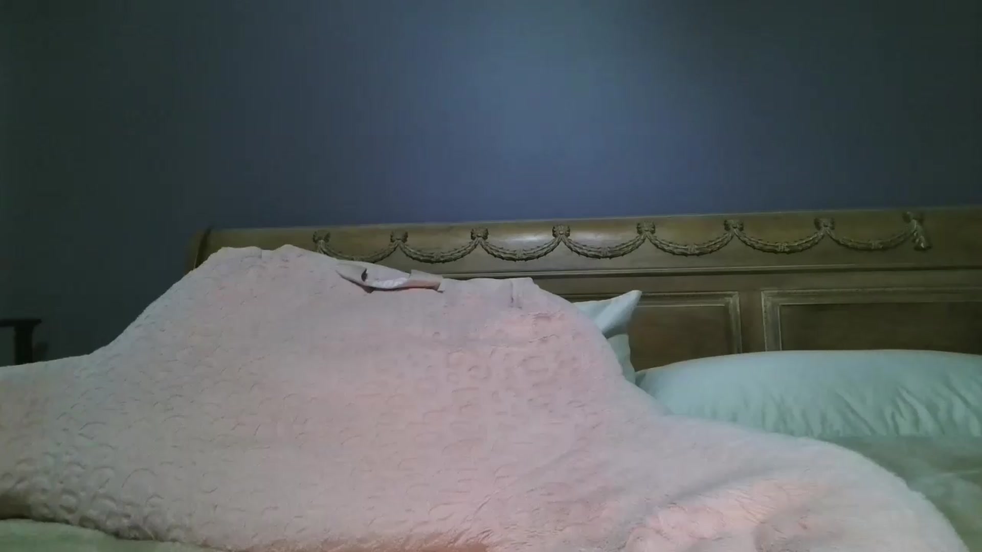 Gallery image thumbnail from LisaLondon's myfreecams stream on, 08/01/2026, 14:24 image 4 of 20