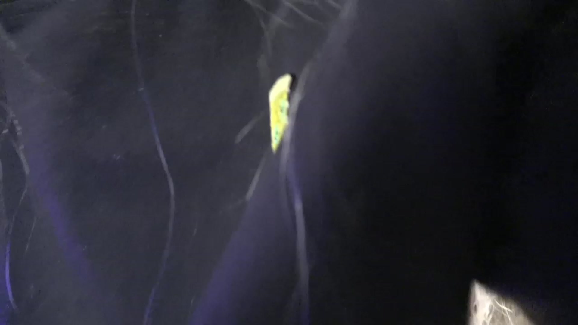 Gallery image thumbnail from Lisiahf's myfreecams stream on, 02/20/2023, 13:35 image 8 of 20