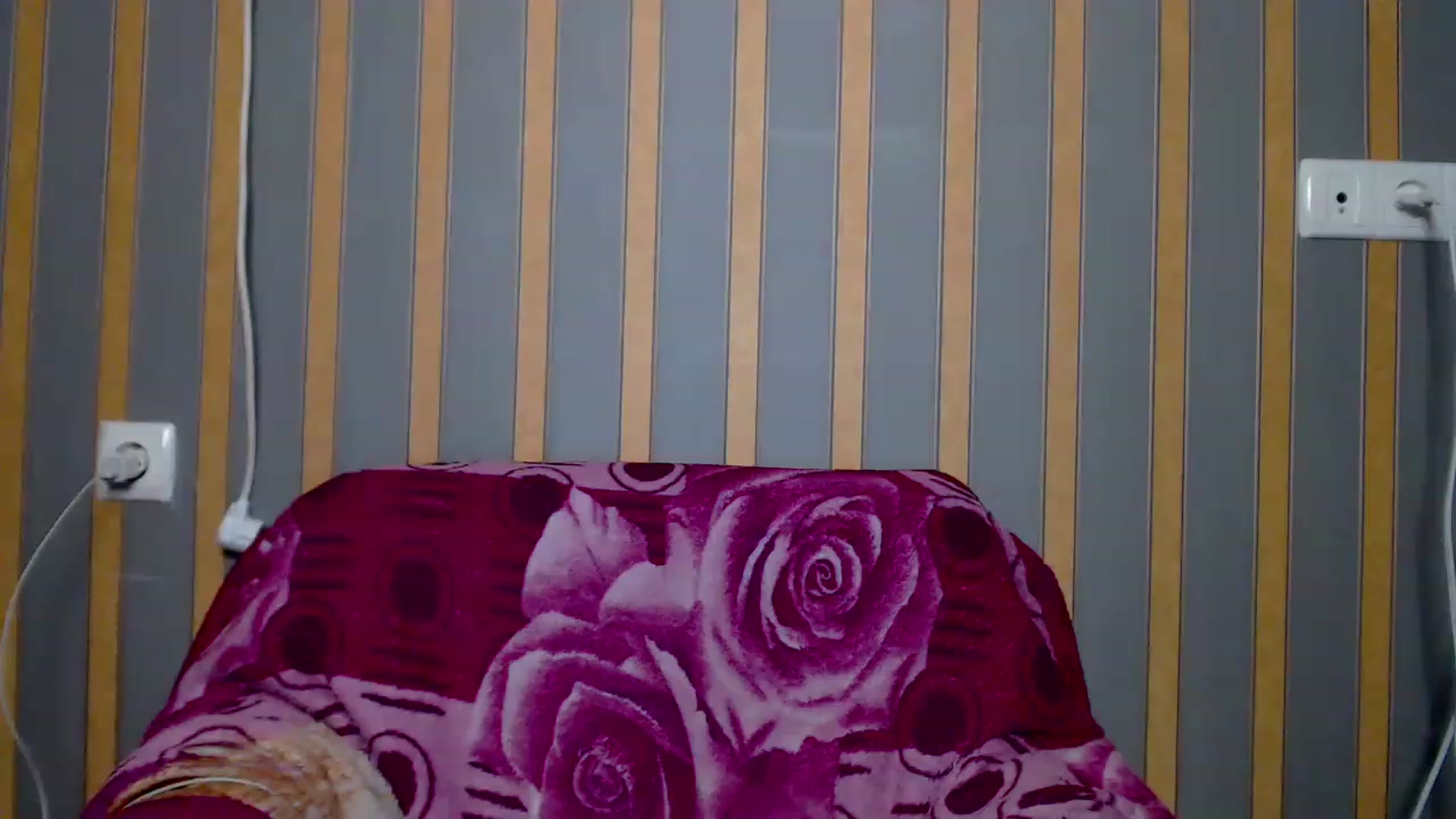 Gallery image thumbnail from Lisova_mavka's myfreecams stream on, 12/24/2022, 14:06 image 13 of 20