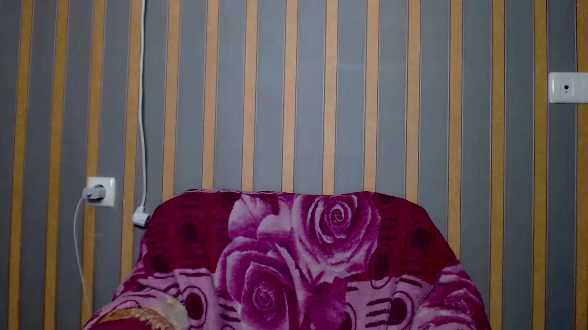 Gallery image thumbnail from Lisova_mavka's myfreecams stream on, 12/25/2022, 15:20 image 2 of 20