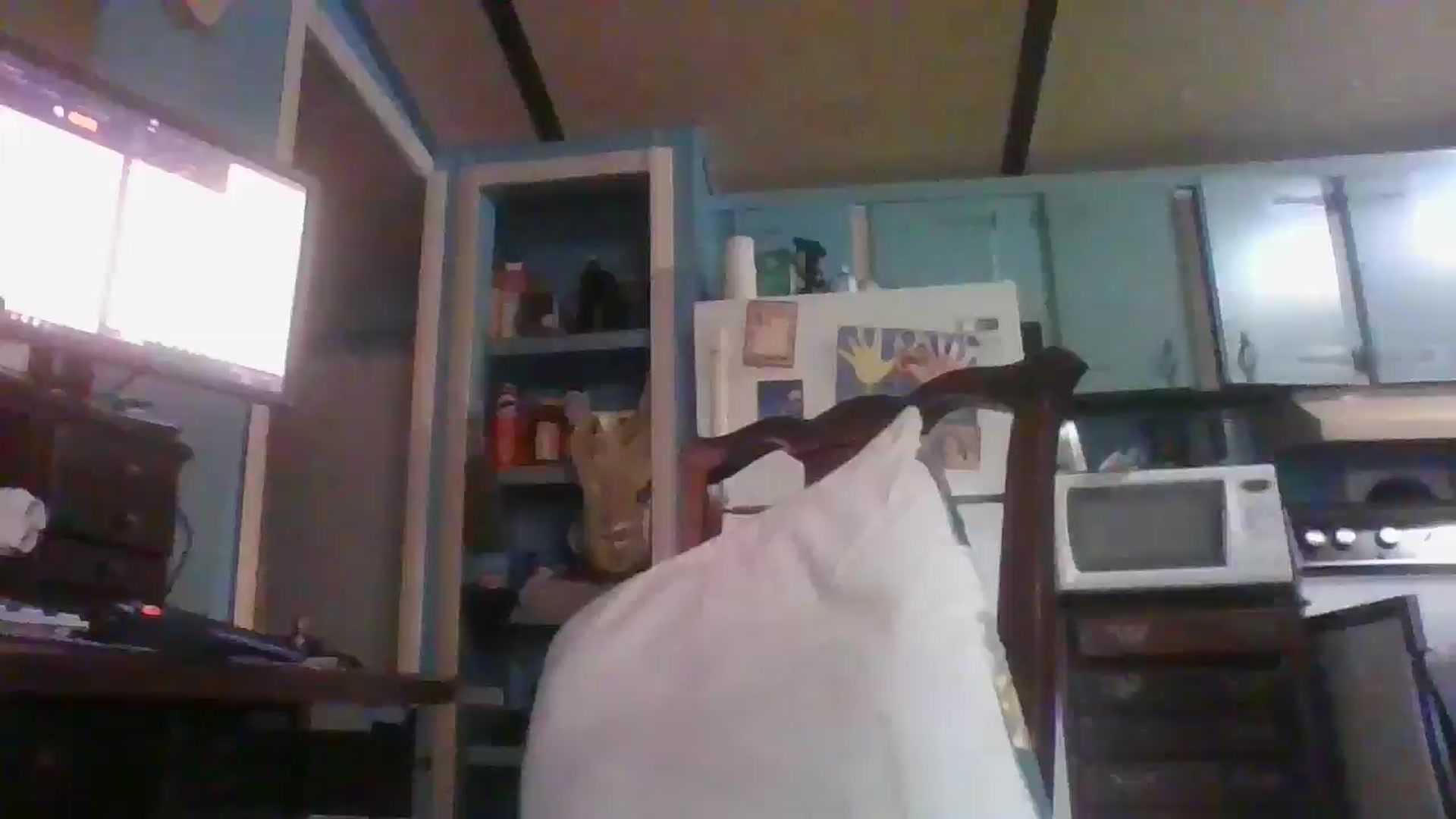 Gallery image thumbnail from LissyJ's myfreecams stream on, 12/18/2024, 14:45 image 3 of 20