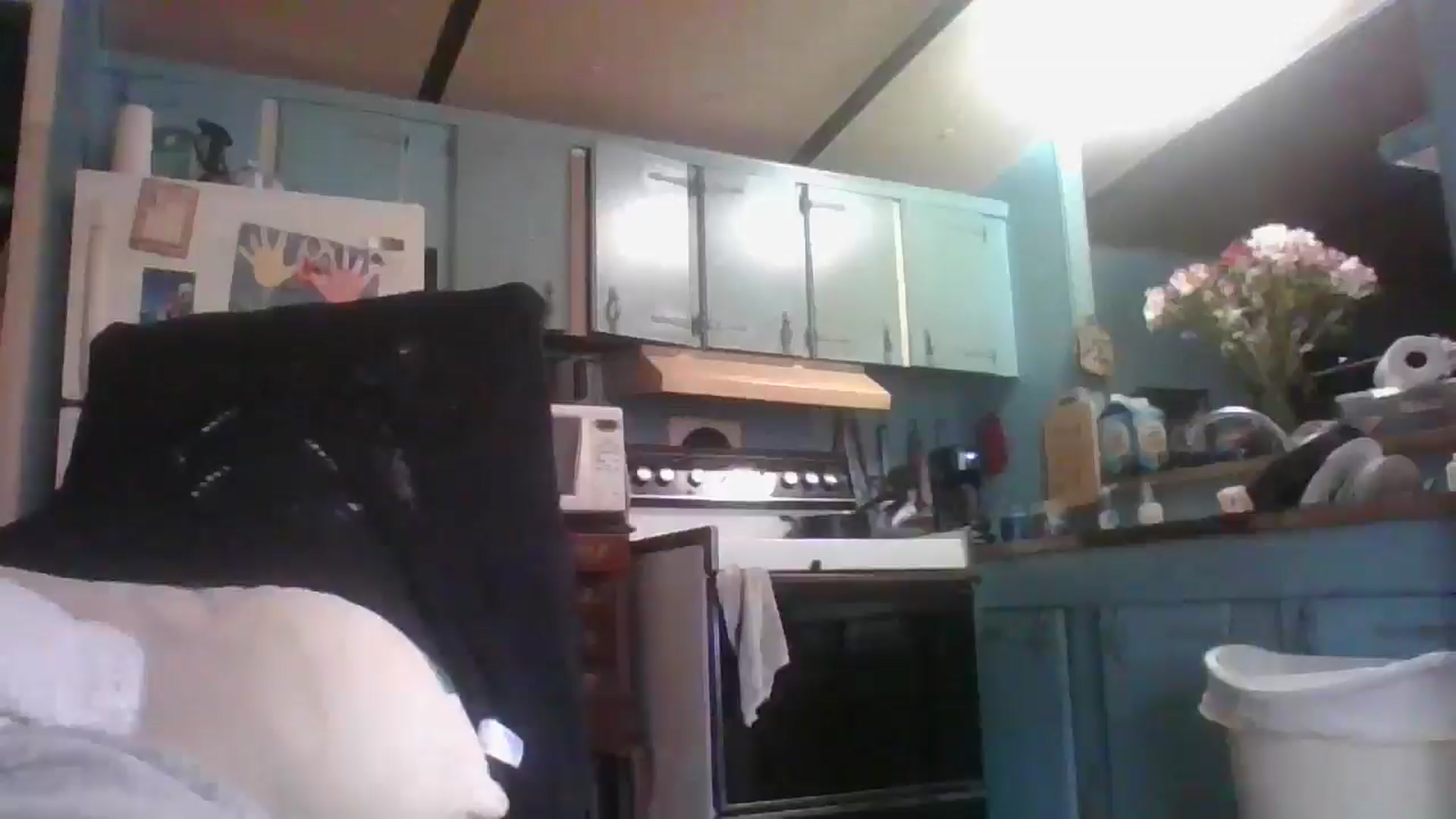 Gallery image thumbnail from LissyJ's myfreecams stream on, 12/18/2024, 14:45 image 20 of 20