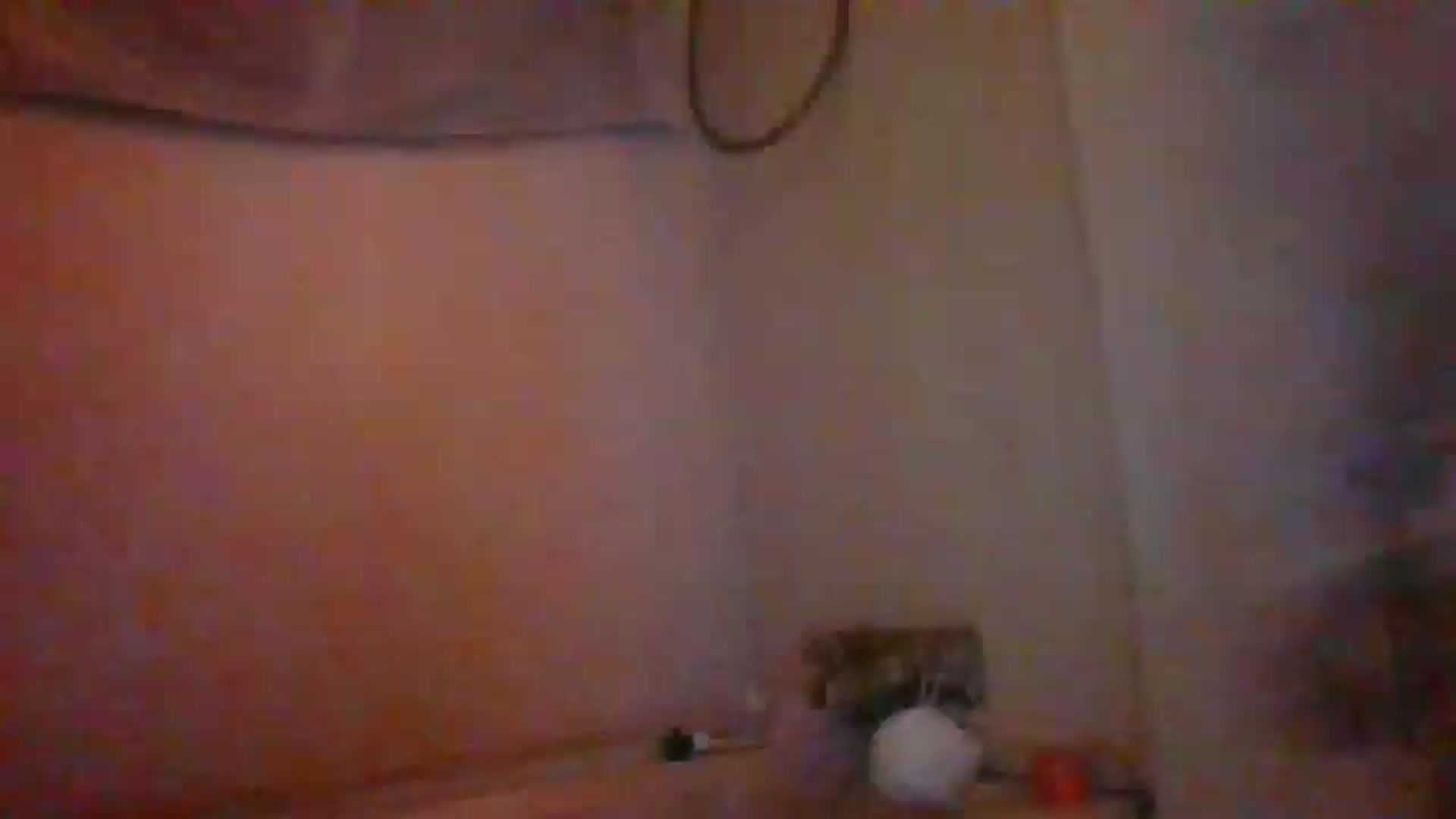 Gallery image thumbnail from LissyJ's myfreecams stream on, 12/26/2024, 18:17 image 2 of 20