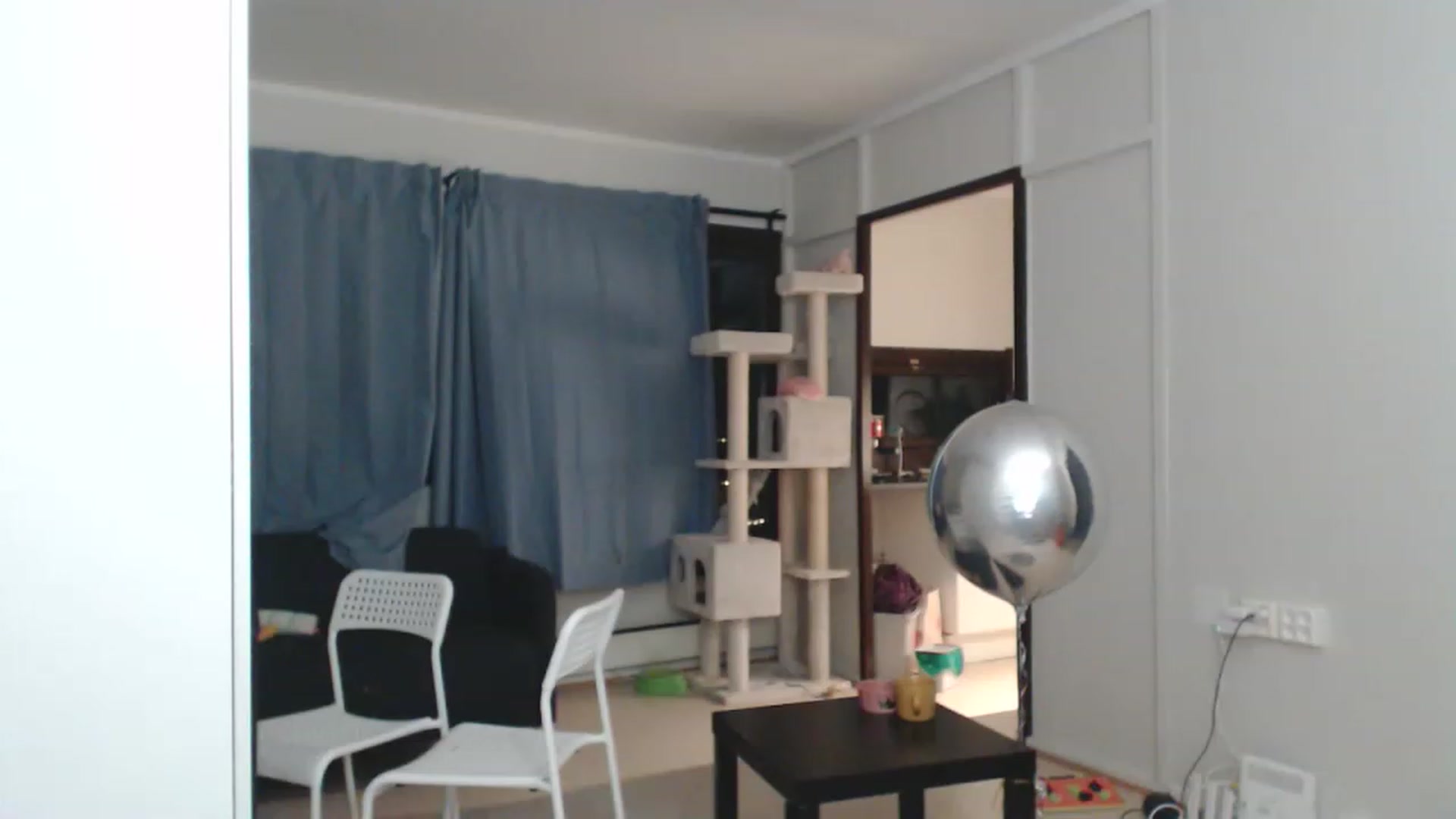 Gallery image thumbnail from Litllebaby's myfreecams stream on, 11/21/2022, 02:30 image 20 of 20