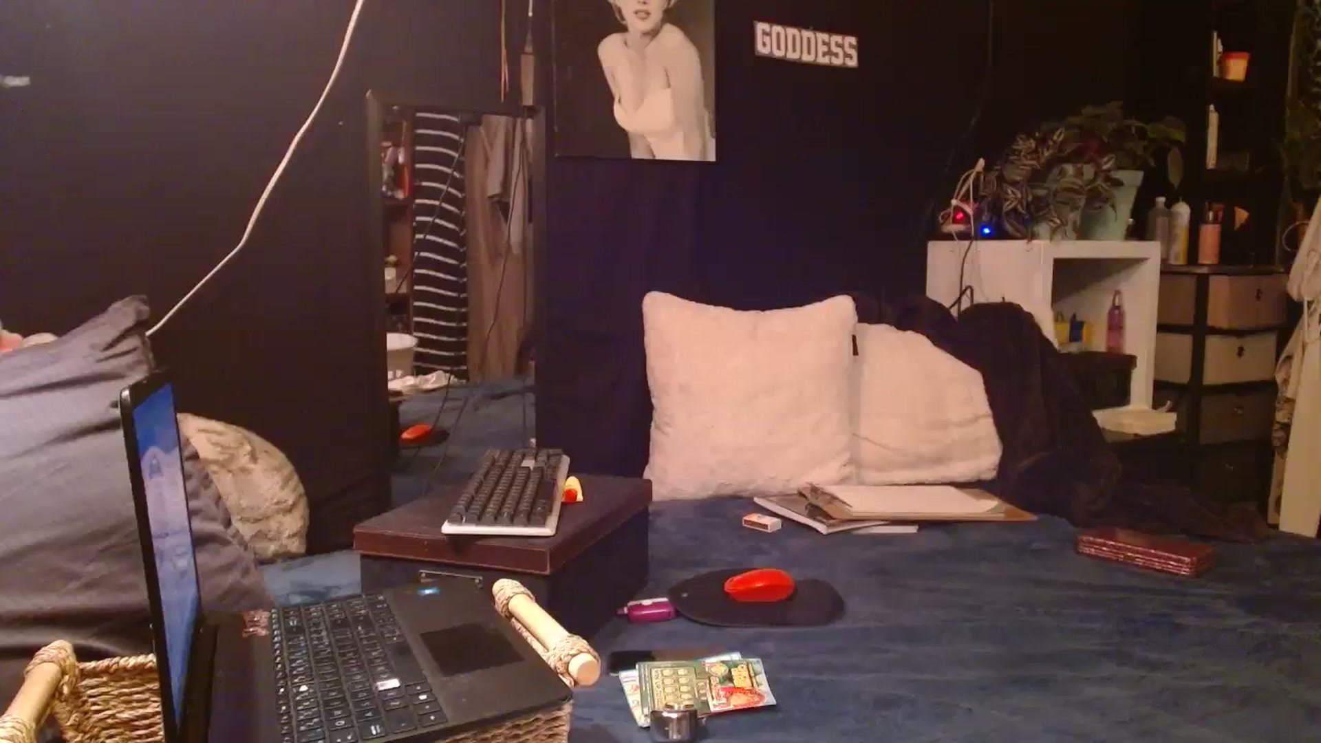 Gallery image thumbnail from LittleMissZee's myfreecams stream on, 09/03/2023, 13:15 image 5 of 20