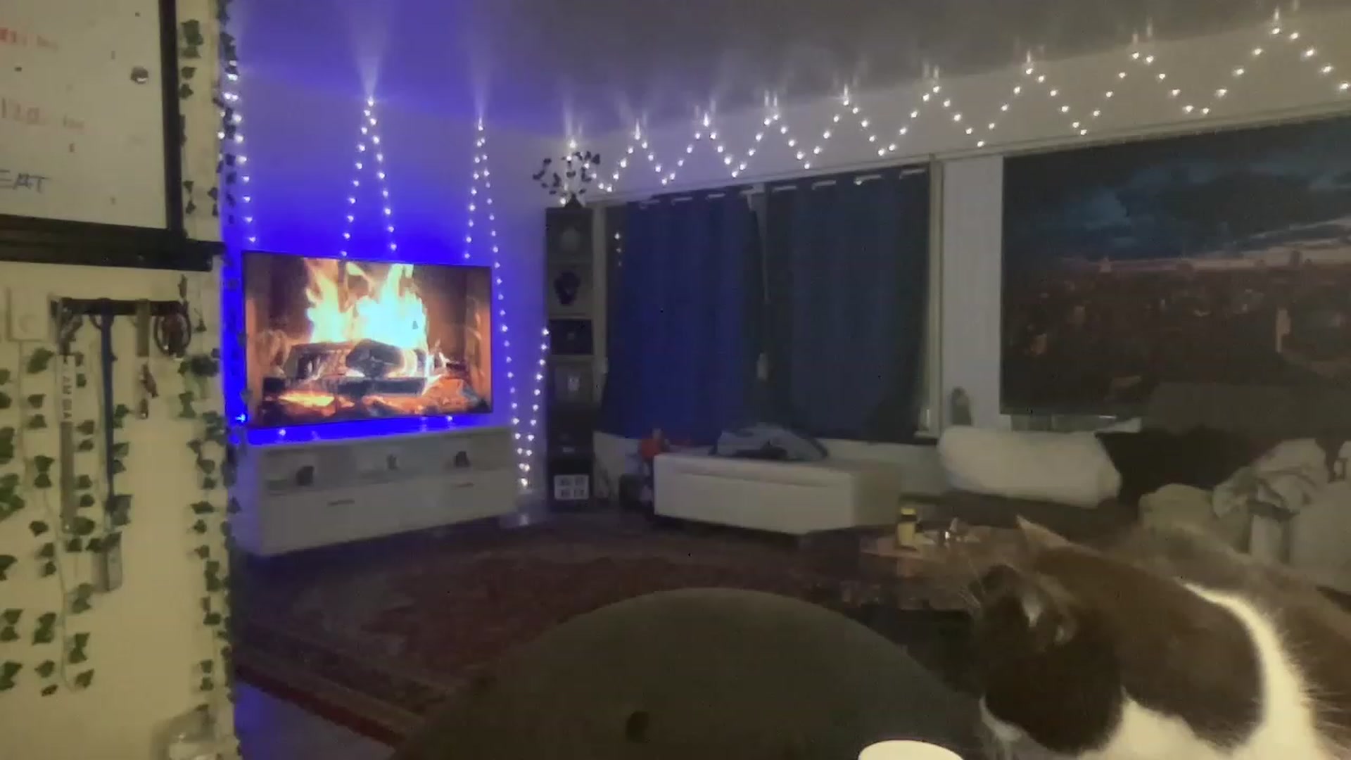 Gallery image thumbnail from LittlePersian's myfreecams stream on, 12/18/2022, 07:13 image 15 of 20