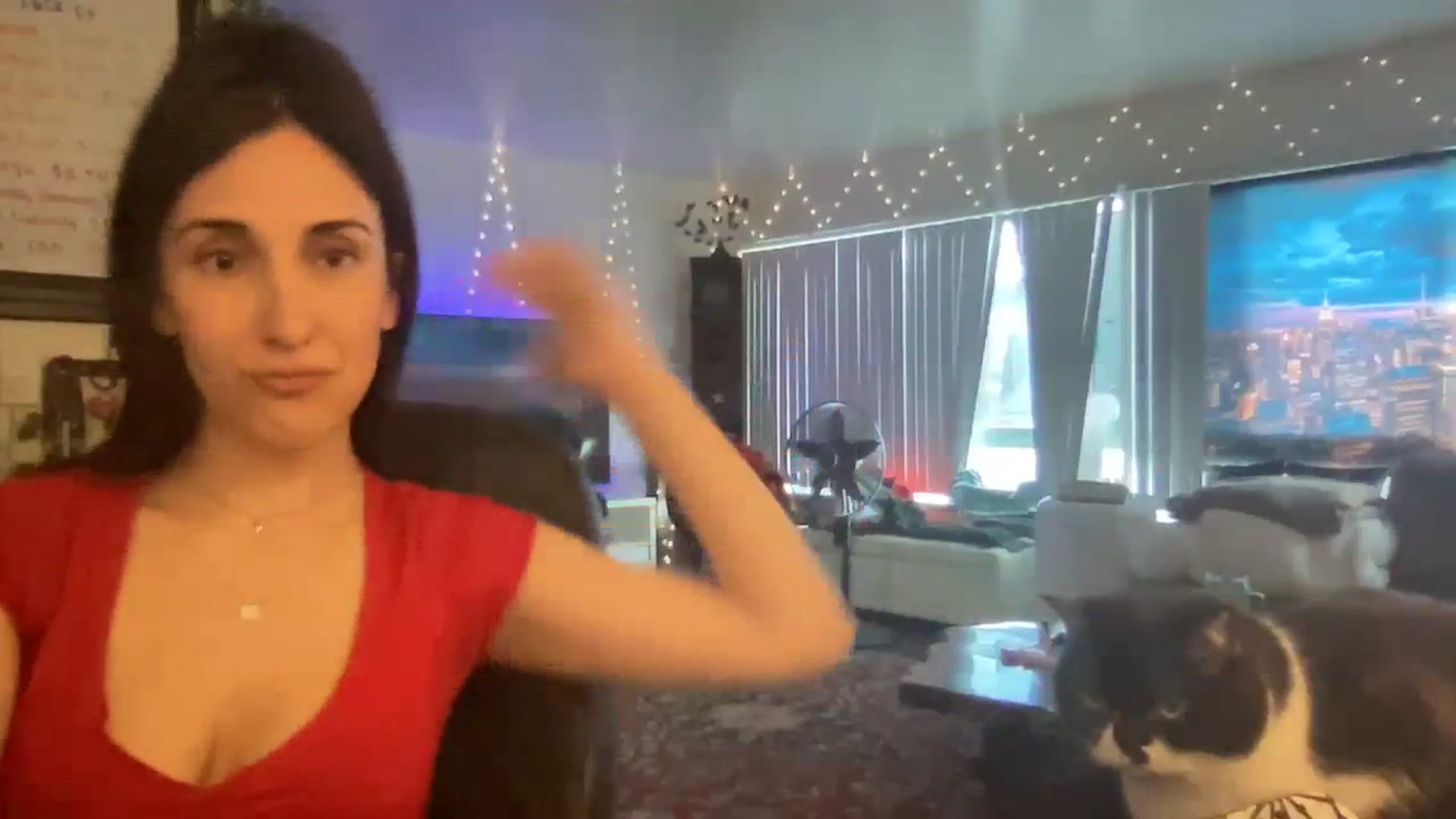 Gallery image thumbnail from LittlePersian's myfreecams stream on, 07/24/2023, 03:27 image 16 of 20