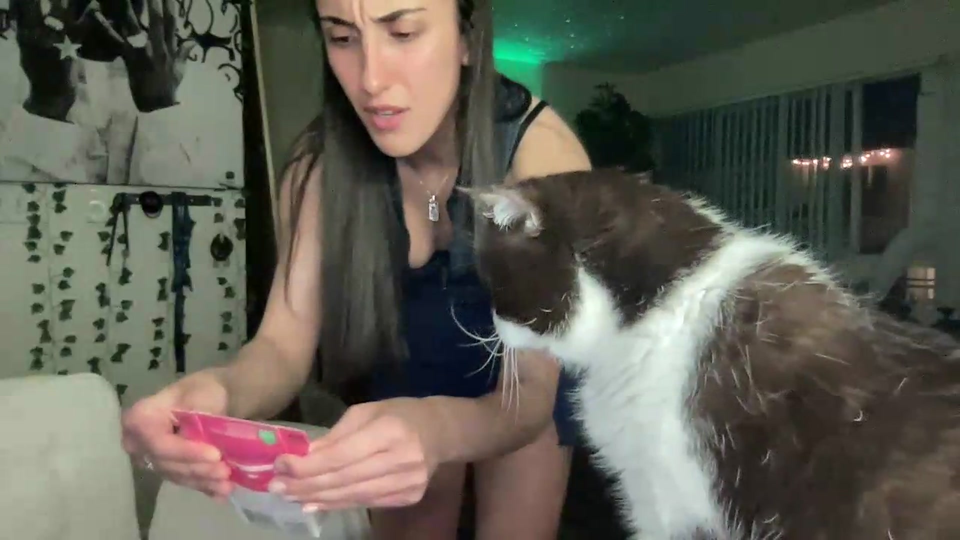 Gallery image thumbnail from LittlePersian's myfreecams stream on, 06/14/2026, 11:24 image 12 of 20