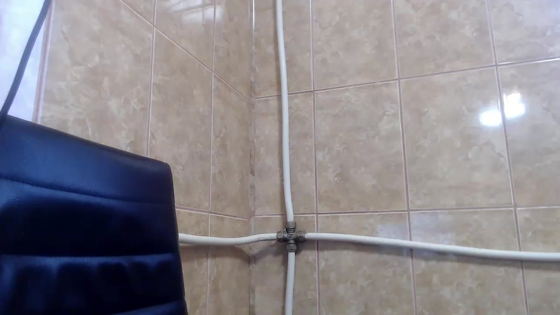 Gallery image thumbnail from LittleVirginX's myfreecams stream on, 12/02/2022, 08:41 image 14 of 20