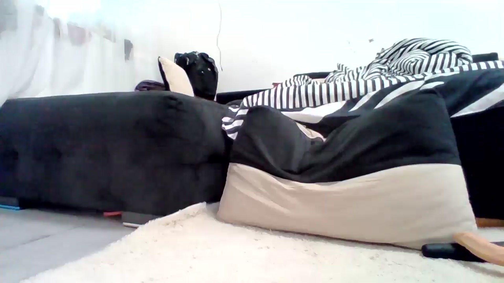 Gallery image thumbnail from LittleVirginX's myfreecams stream on, 02/13/2026, 13:36 image 10 of 20