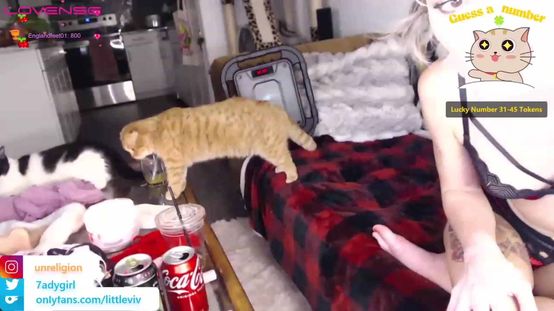 Gallery image thumbnail from LittleViv's myfreecams stream on, 12/17/2022, 12:11 image 6 of 20