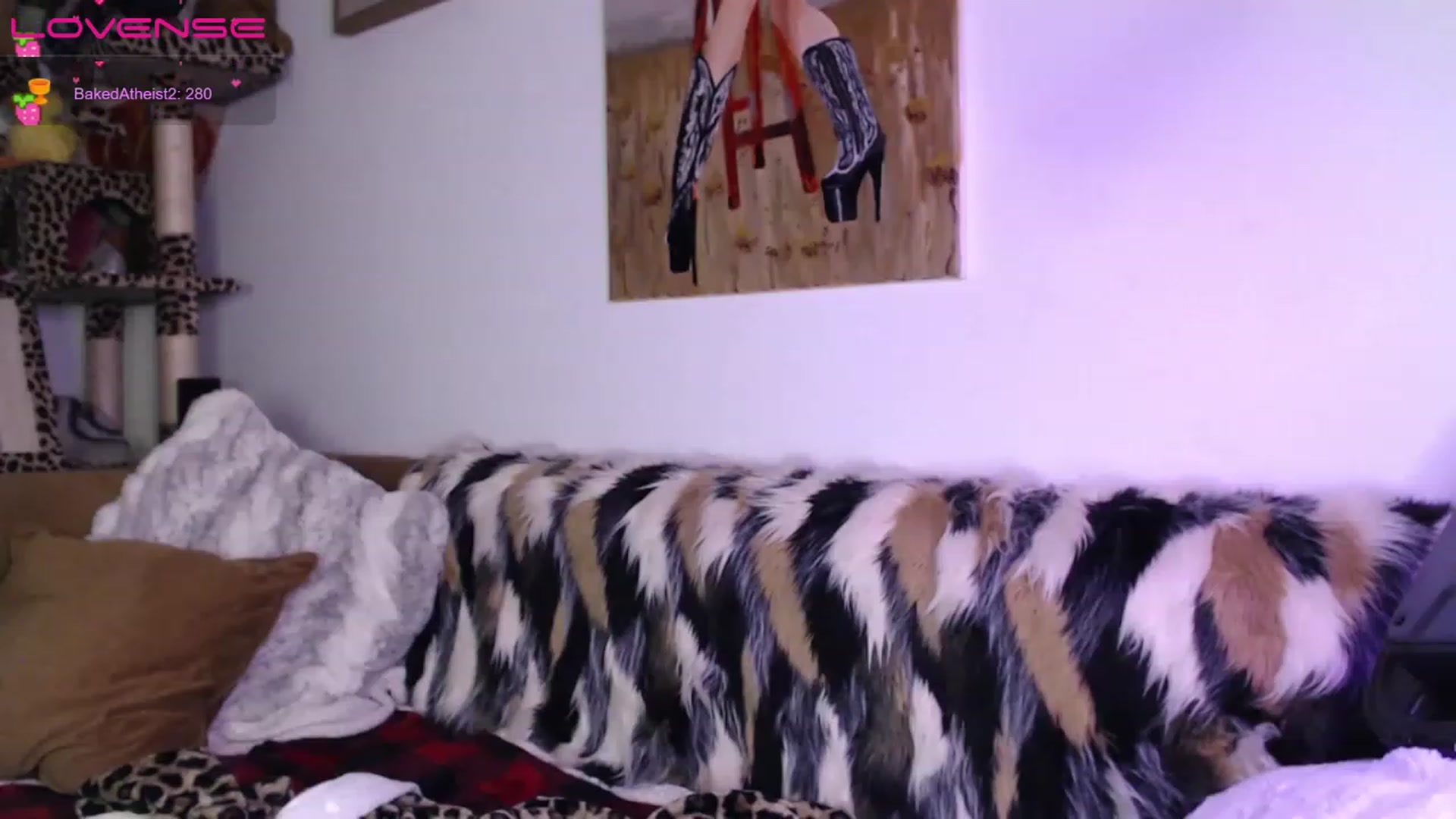Gallery image thumbnail from LittleViv's myfreecams stream on, 12/20/2022, 11:56 image 12 of 20