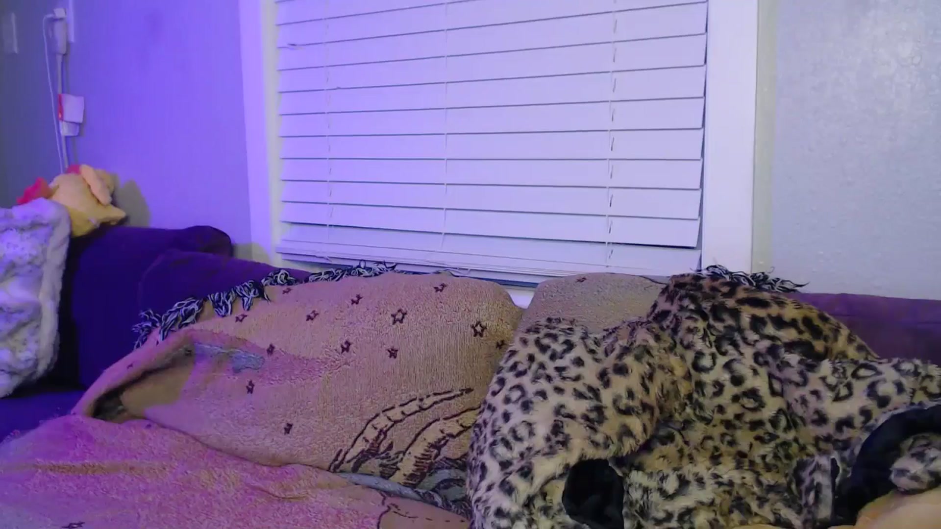 Gallery image thumbnail from LittleViv's myfreecams stream on, 12/28/2024, 23:02 image 12 of 20