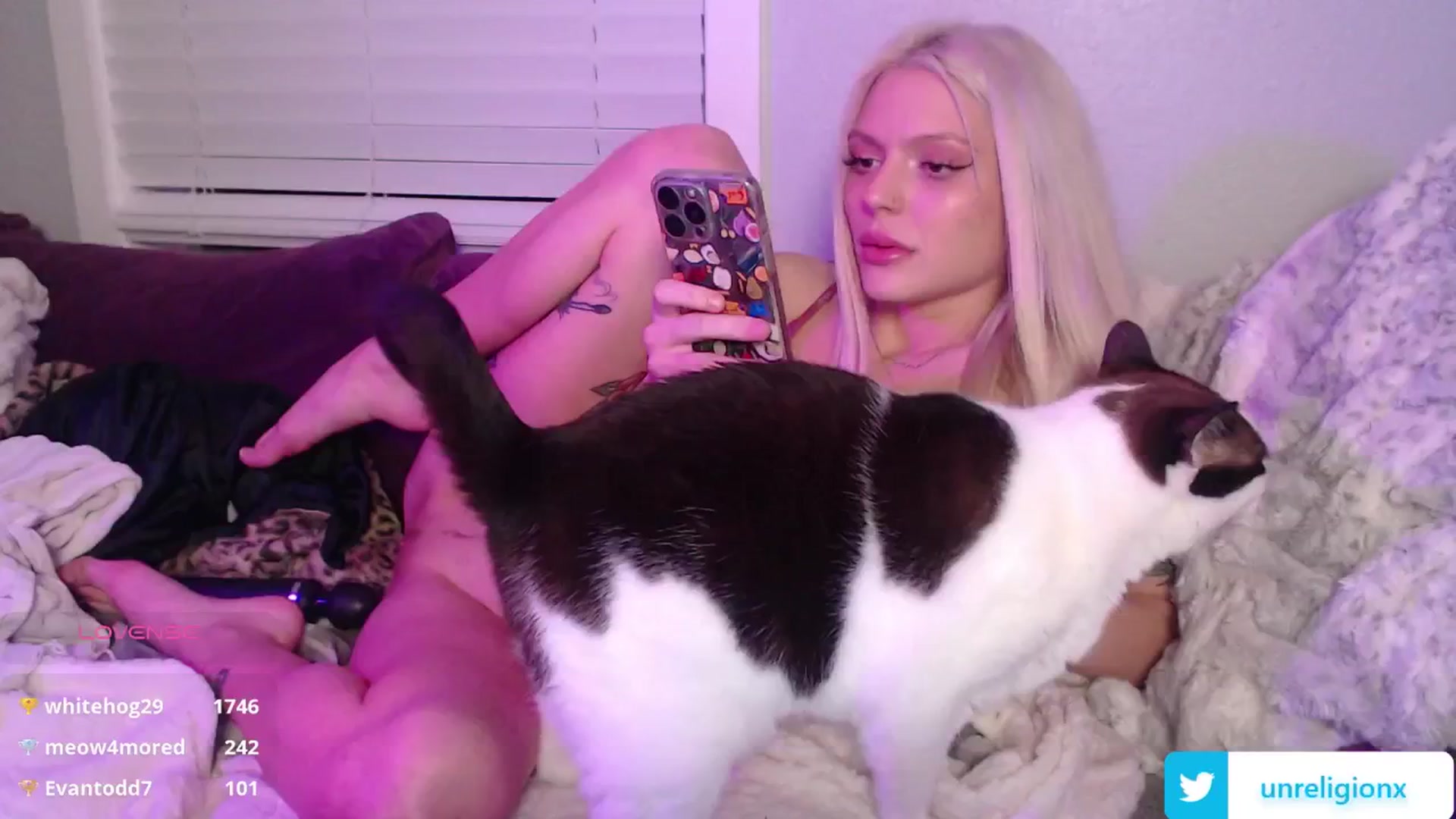 Gallery image thumbnail from LittleViv's myfreecams stream on, 01/29/2025, 08:37 image 20 of 20