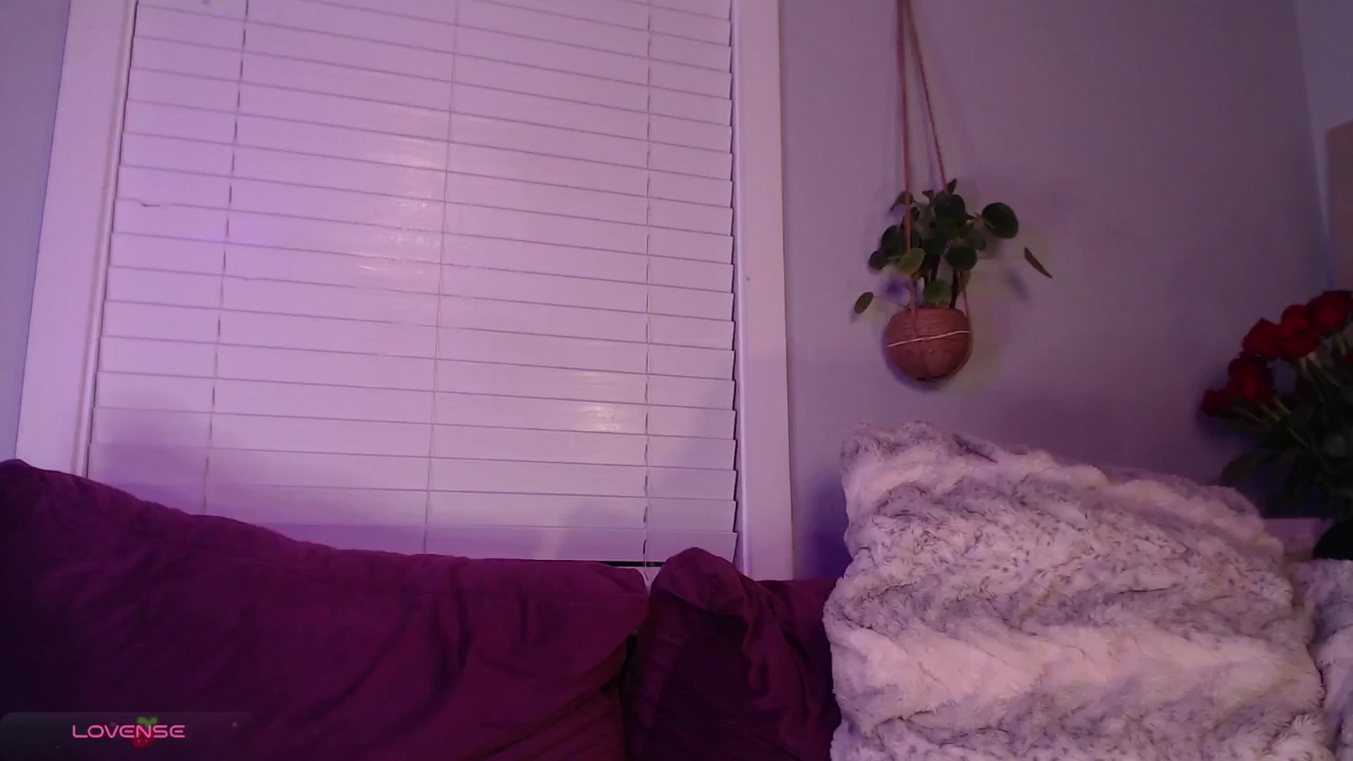 Gallery image thumbnail from LittleViv's myfreecams stream on, 02/05/2025, 05:46 image 11 of 20