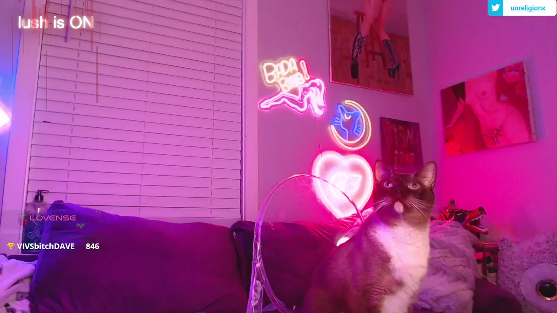 Gallery image thumbnail from LittleViv's myfreecams stream on, 03/22/2025, 07:29 image 4 of 20