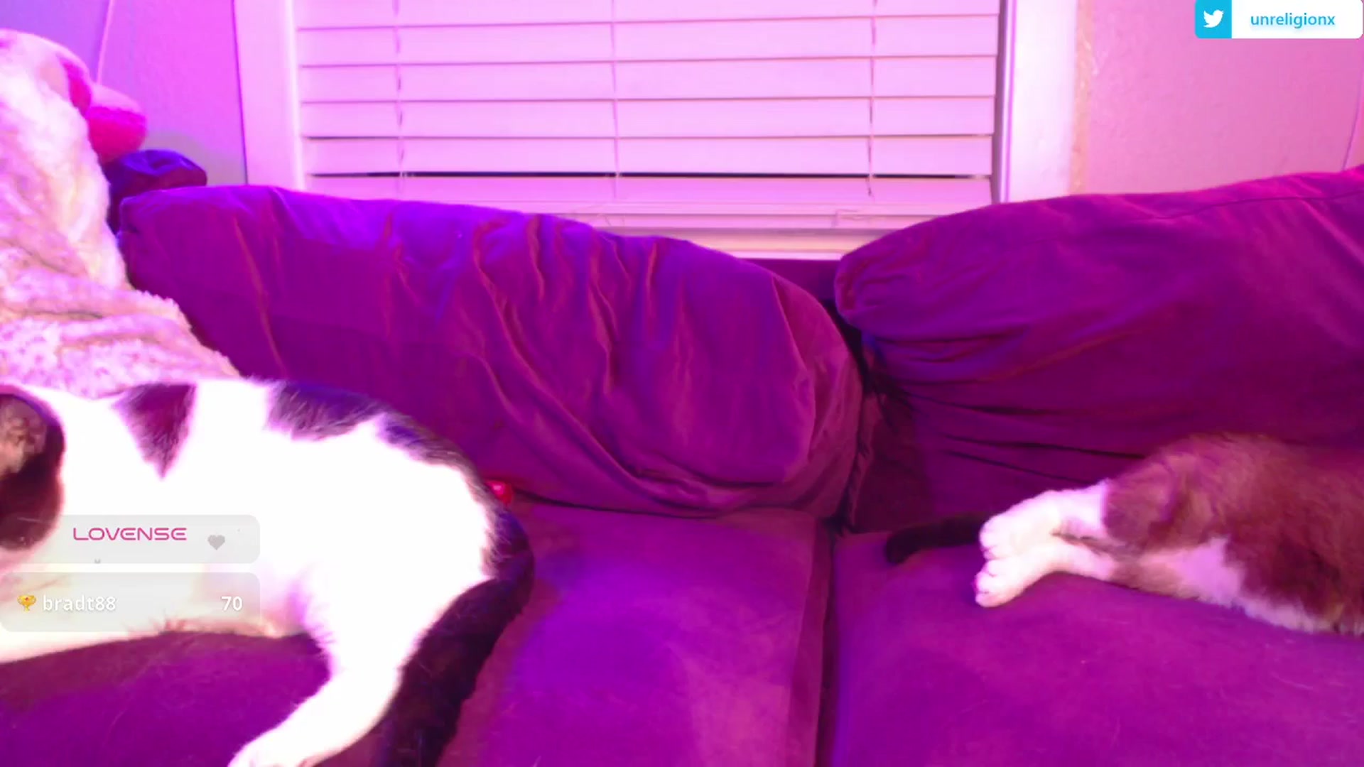 Gallery image thumbnail from LittleViv's myfreecams stream on, 04/07/2025, 10:31 image 20 of 20