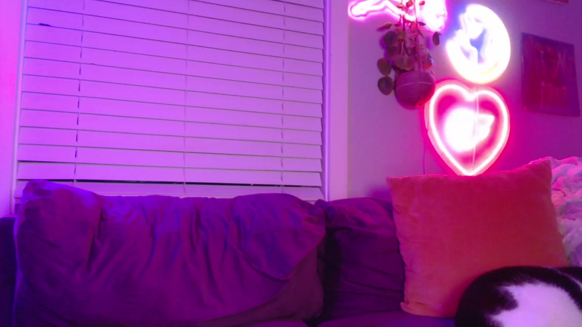 Gallery image thumbnail from LittleViv's myfreecams stream on, 04/12/2025, 08:57 image 19 of 20