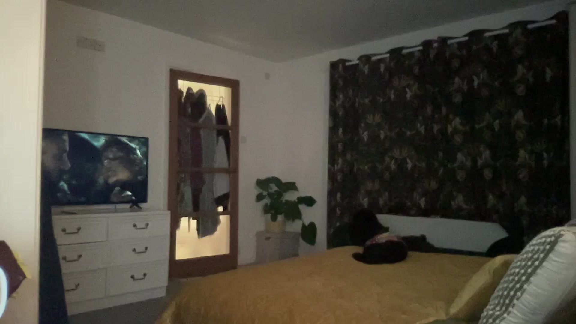 Gallery image thumbnail from Little_L's myfreecams stream on, 02/11/2024, 20:45 image 17 of 20