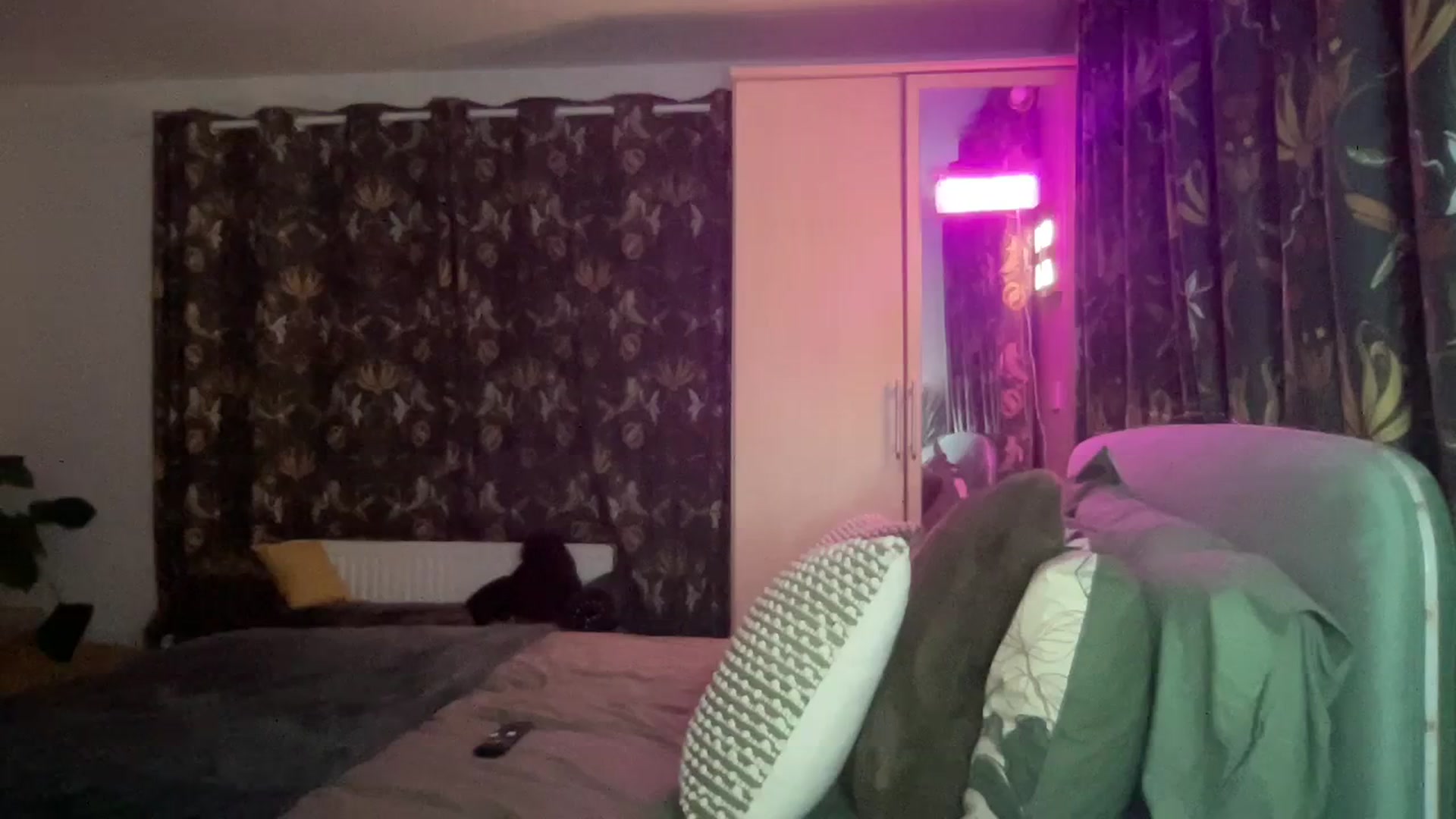 Gallery image thumbnail from Little_L's myfreecams stream on, 02/24/2024, 20:29 image 11 of 20