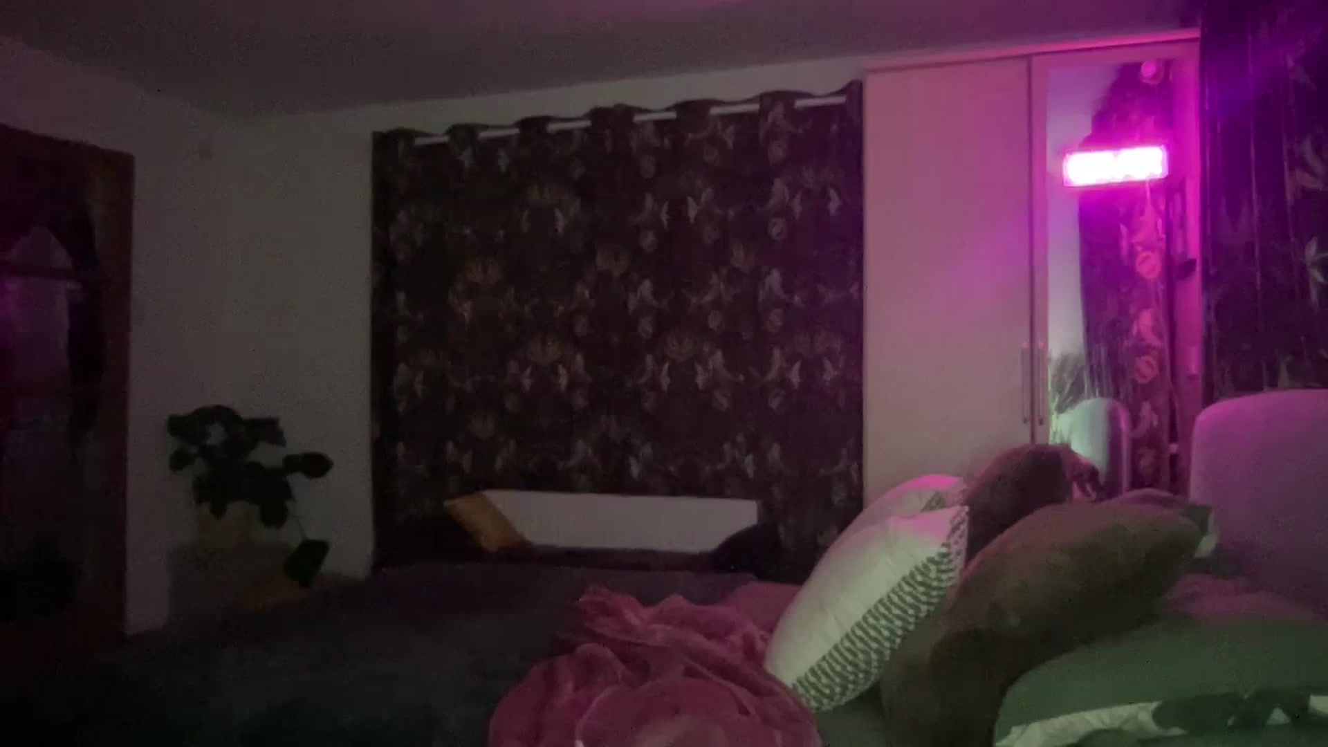 Gallery image thumbnail from Little_L's myfreecams stream on, 02/28/2024, 20:55 image 9 of 20