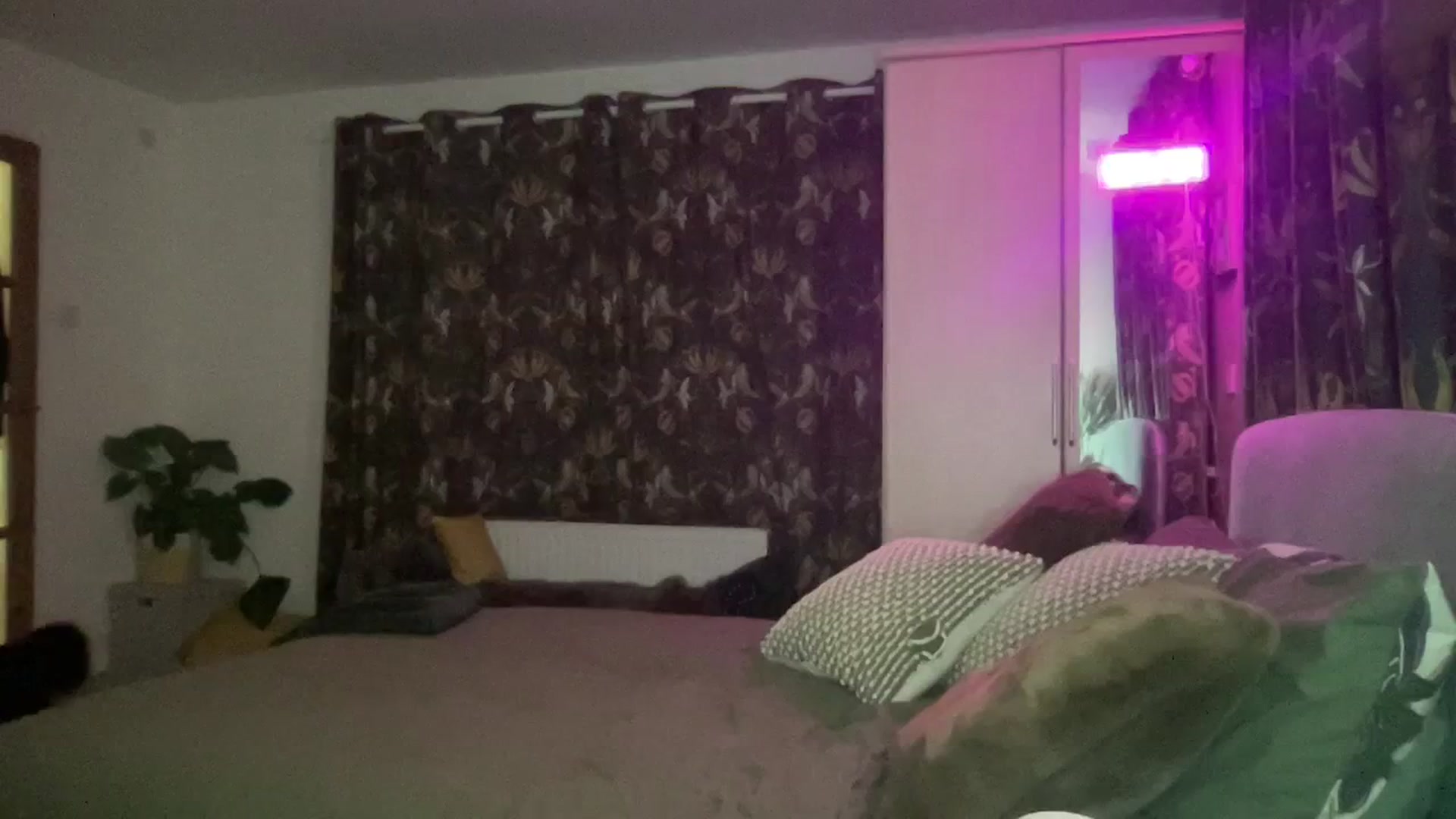 Gallery image thumbnail from Little_L's myfreecams stream on, 02/29/2024, 22:43 image 10 of 20