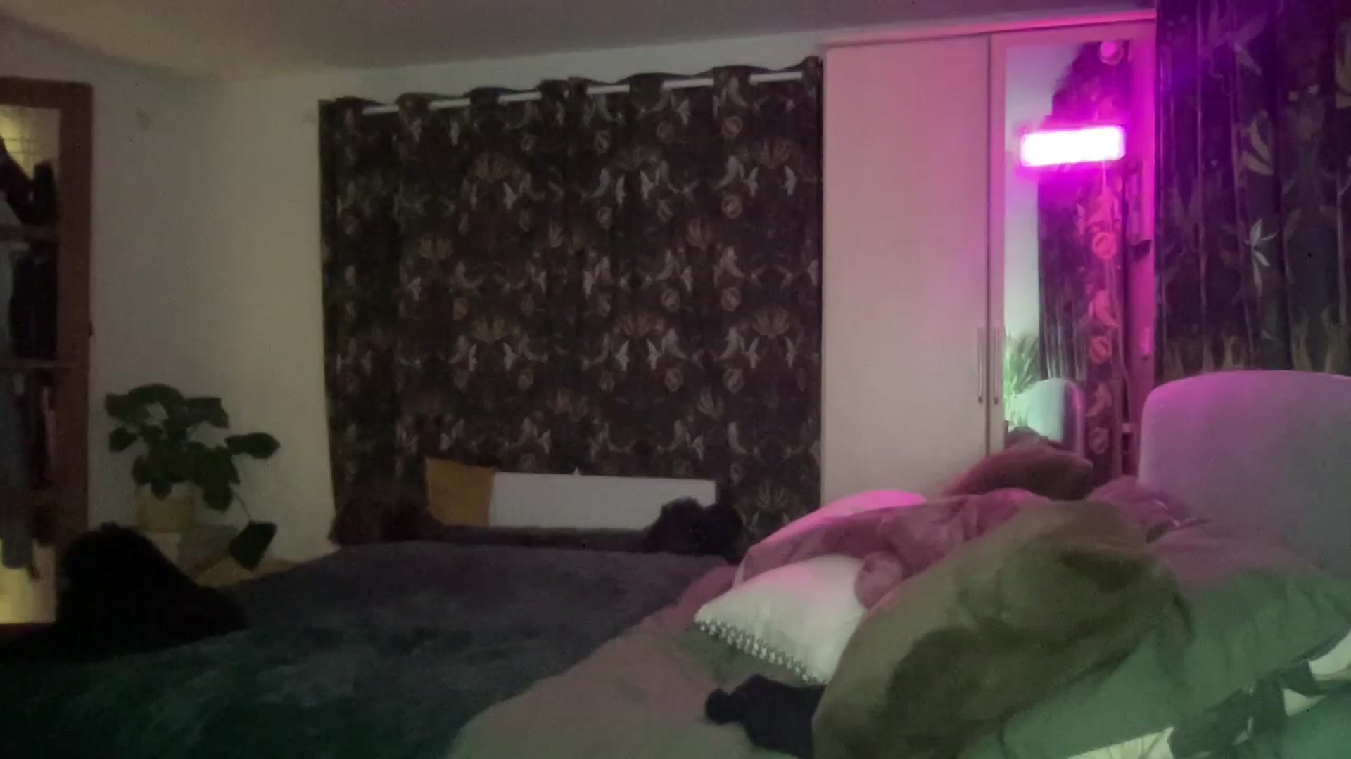 Gallery image thumbnail from Little_L's myfreecams stream on, 03/01/2024, 23:47 image 20 of 20