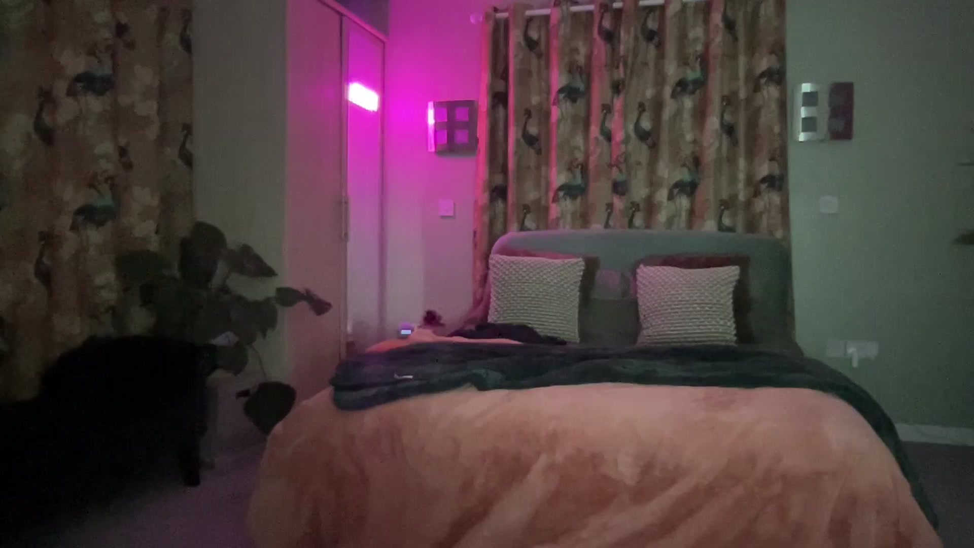 Gallery image thumbnail from Little_L's myfreecams stream on, 04/27/2024, 24:01 image 20 of 20