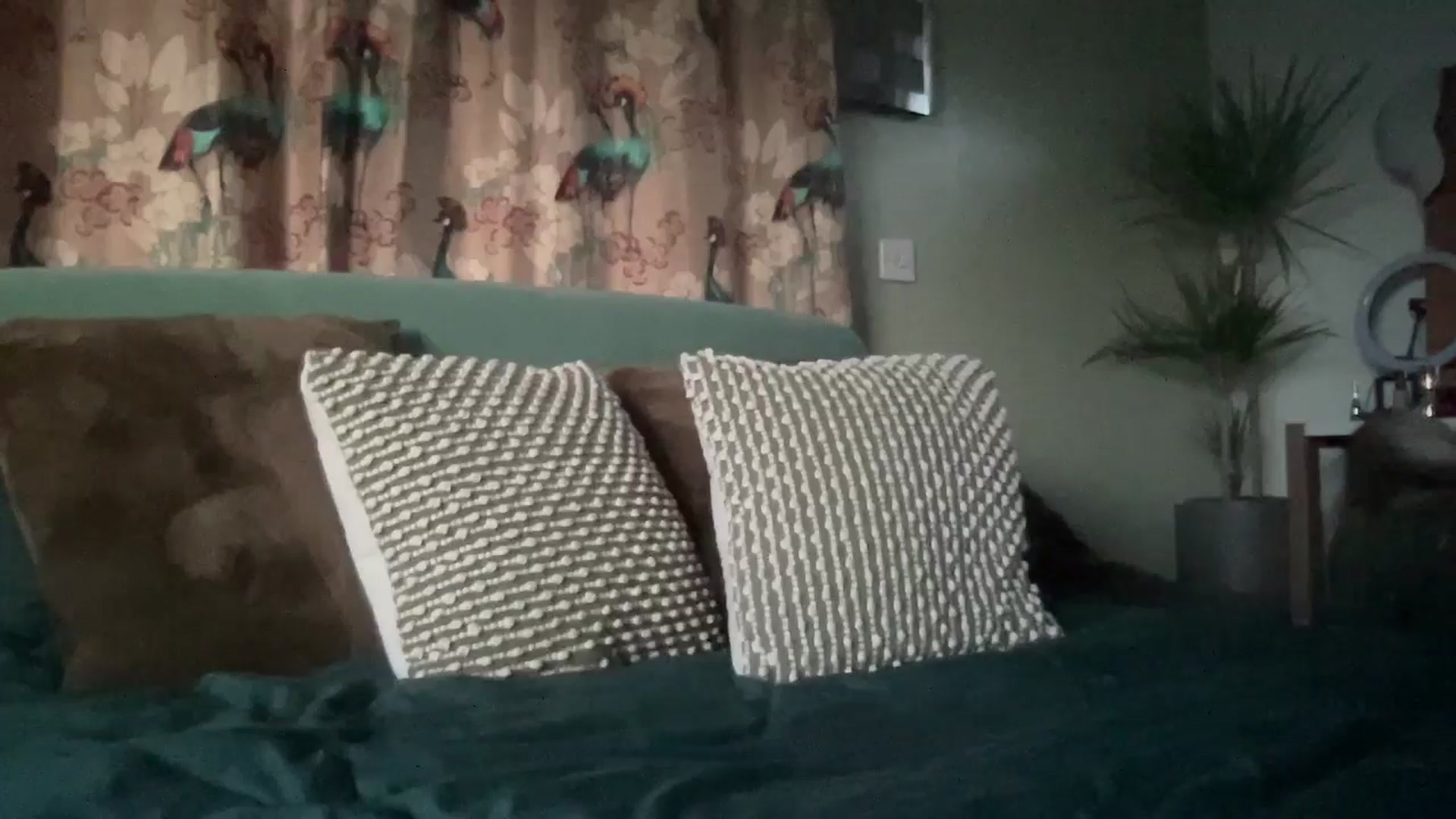 Gallery image thumbnail from Little_L's myfreecams stream on, 05/18/2024, 19:58 image 15 of 20
