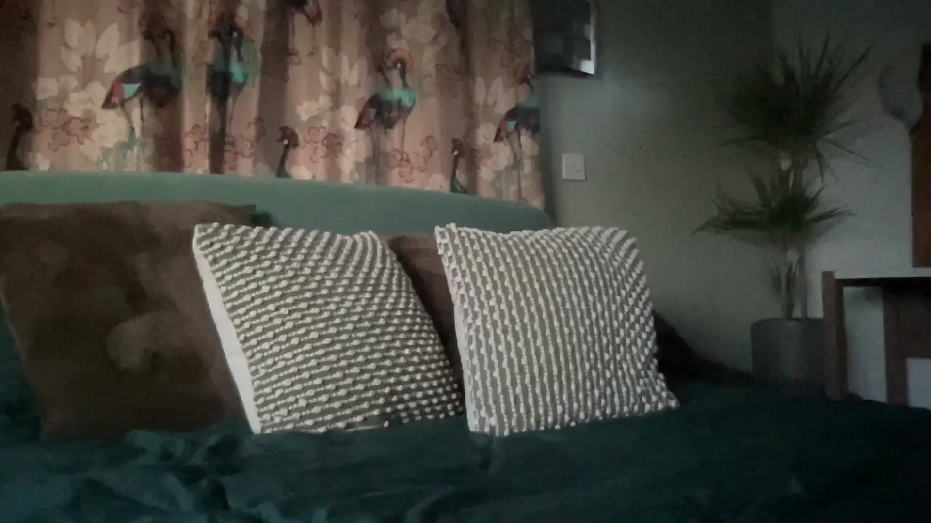 Gallery image thumbnail from Little_L's myfreecams stream on, 05/18/2024, 19:58 image 16 of 20