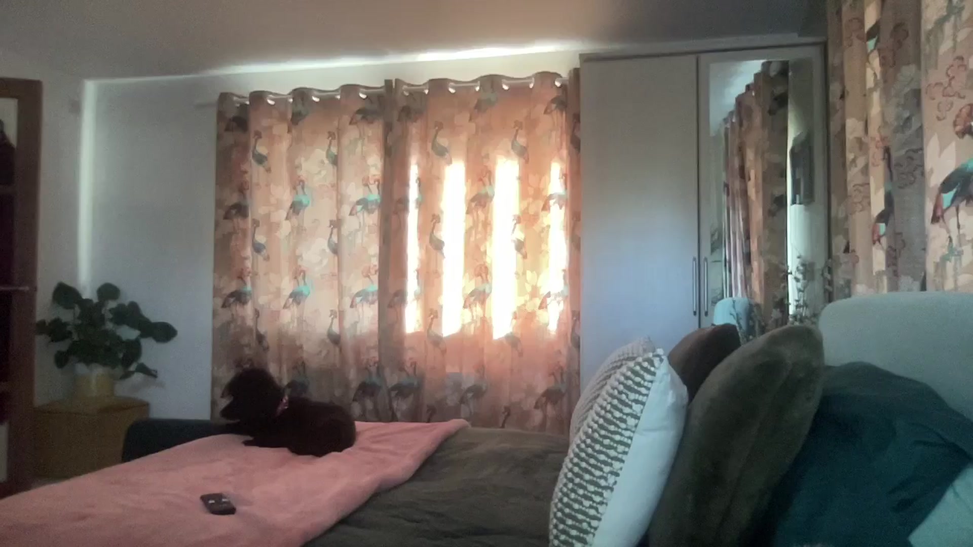 Gallery image thumbnail from Little_L's myfreecams stream on, 05/29/2024, 19:04 image 17 of 20
