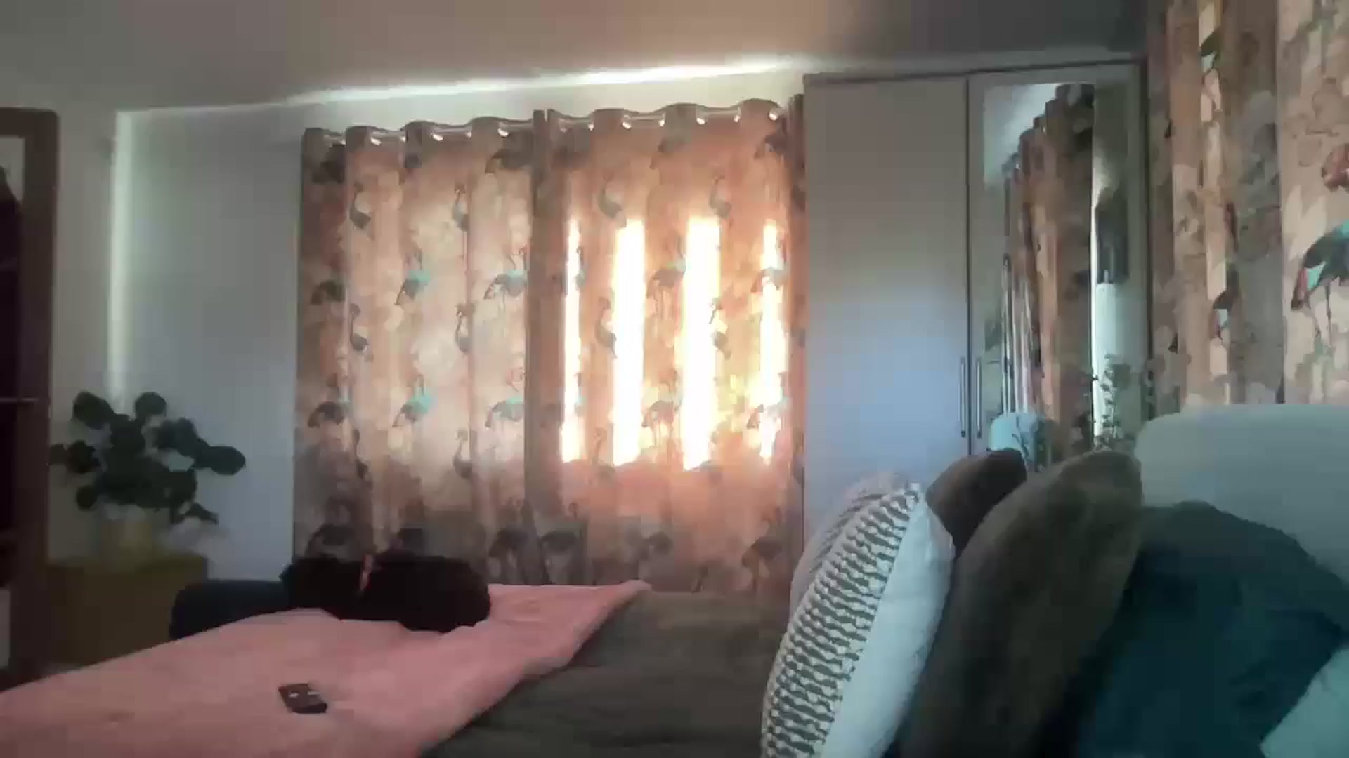 Gallery image thumbnail from Little_L's myfreecams stream on, 05/29/2024, 19:04 image 18 of 20