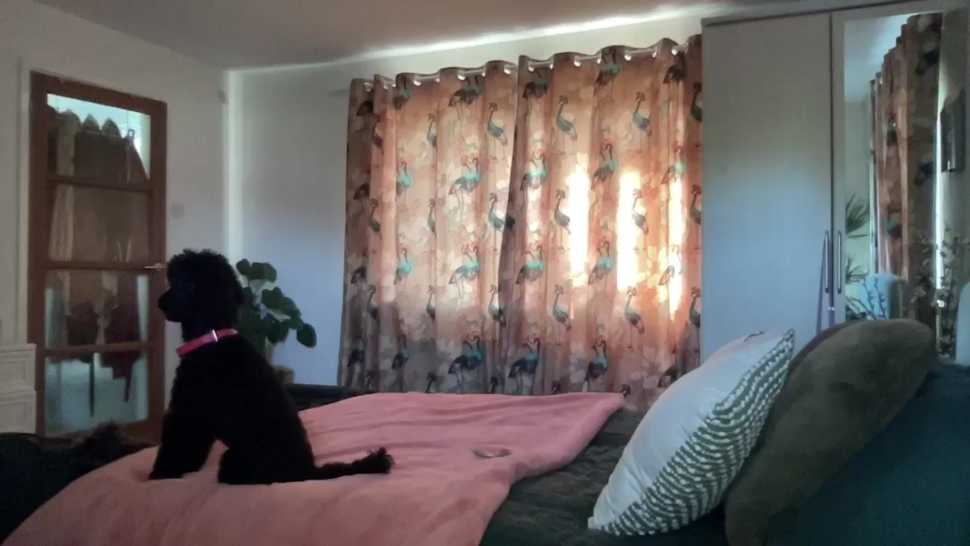 Gallery image thumbnail from Little_L's myfreecams stream on, 06/18/2024, 19:41 image 8 of 20
