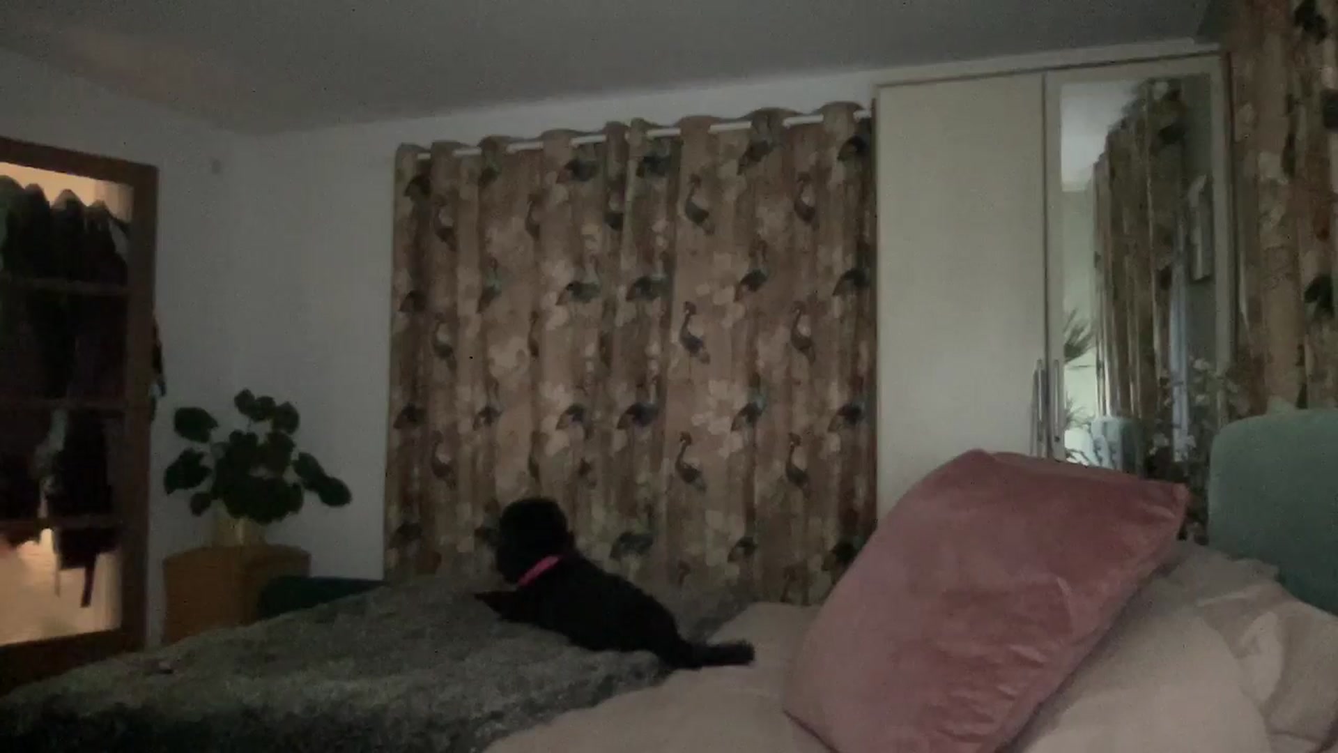 Gallery image thumbnail from Little_L's myfreecams stream on, 06/30/2024, 22:55 image 9 of 20