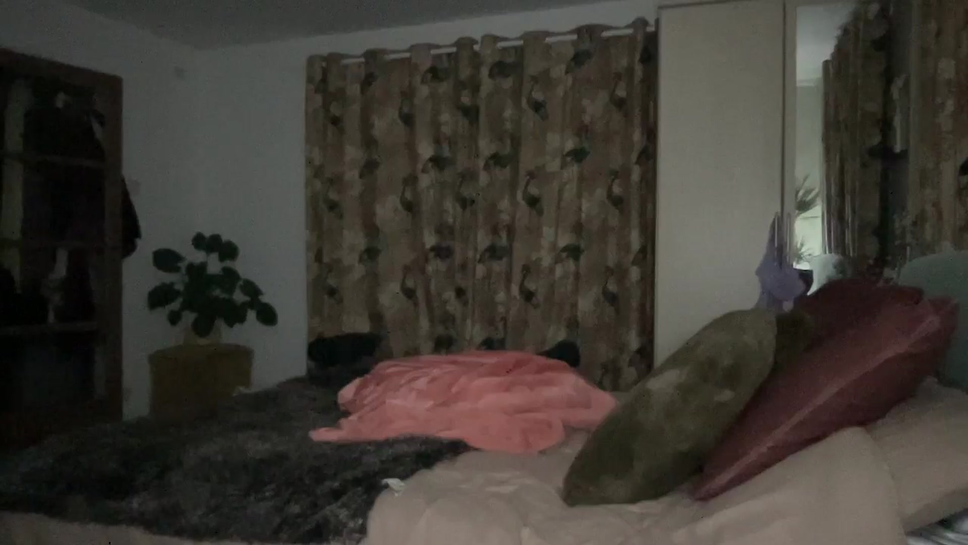 Gallery image thumbnail from Little_L's myfreecams stream on, 07/13/2024, 01:15 image 3 of 20