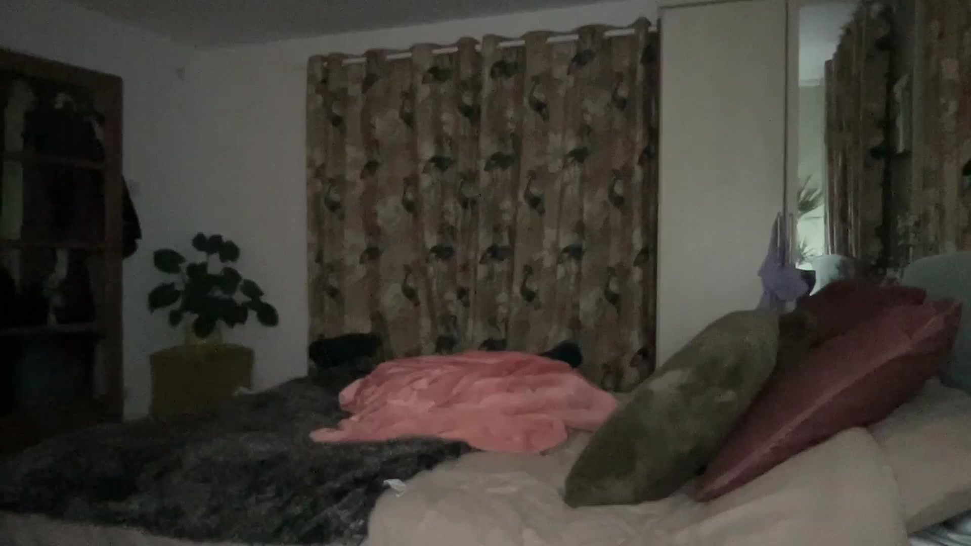 Gallery image thumbnail from Little_L's myfreecams stream on, 07/13/2024, 01:15 image 4 of 20