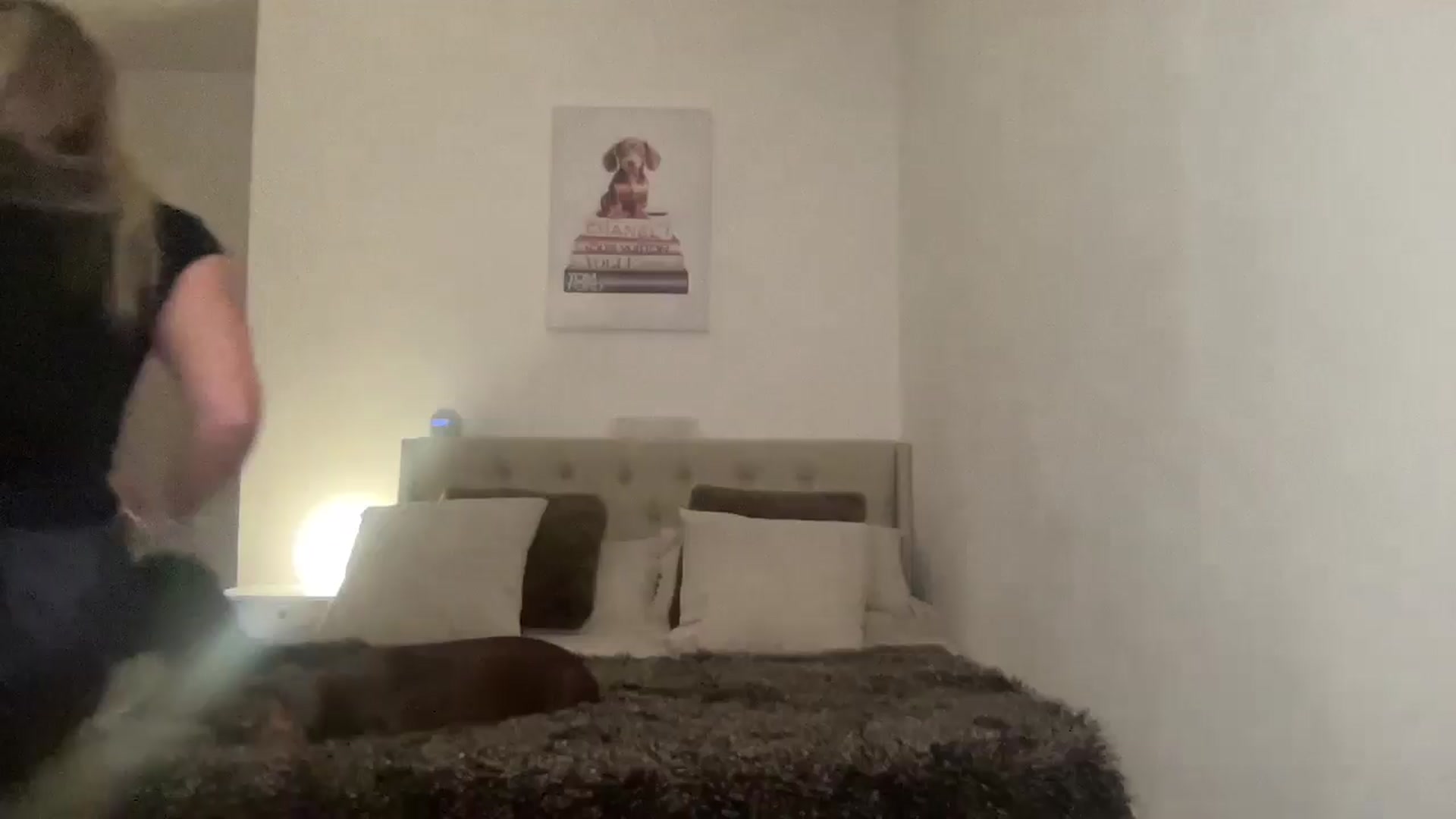 Gallery image thumbnail from Little_L's myfreecams stream on, 10/30/2024, 20:31 image 16 of 20