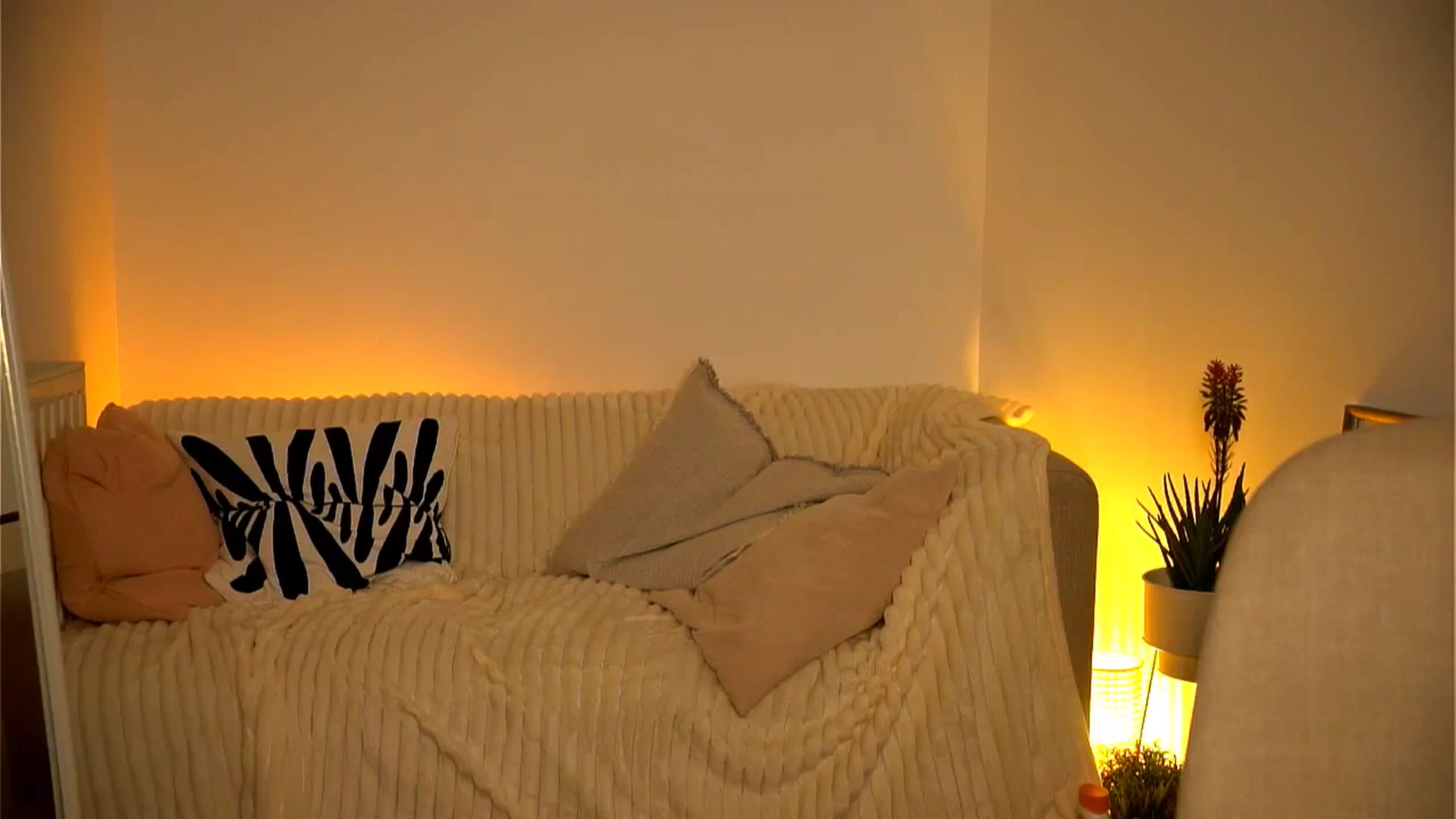 Gallery image thumbnail from Little_Nut's myfreecams stream on, 11/05/2024, 20:47 image 13 of 20
