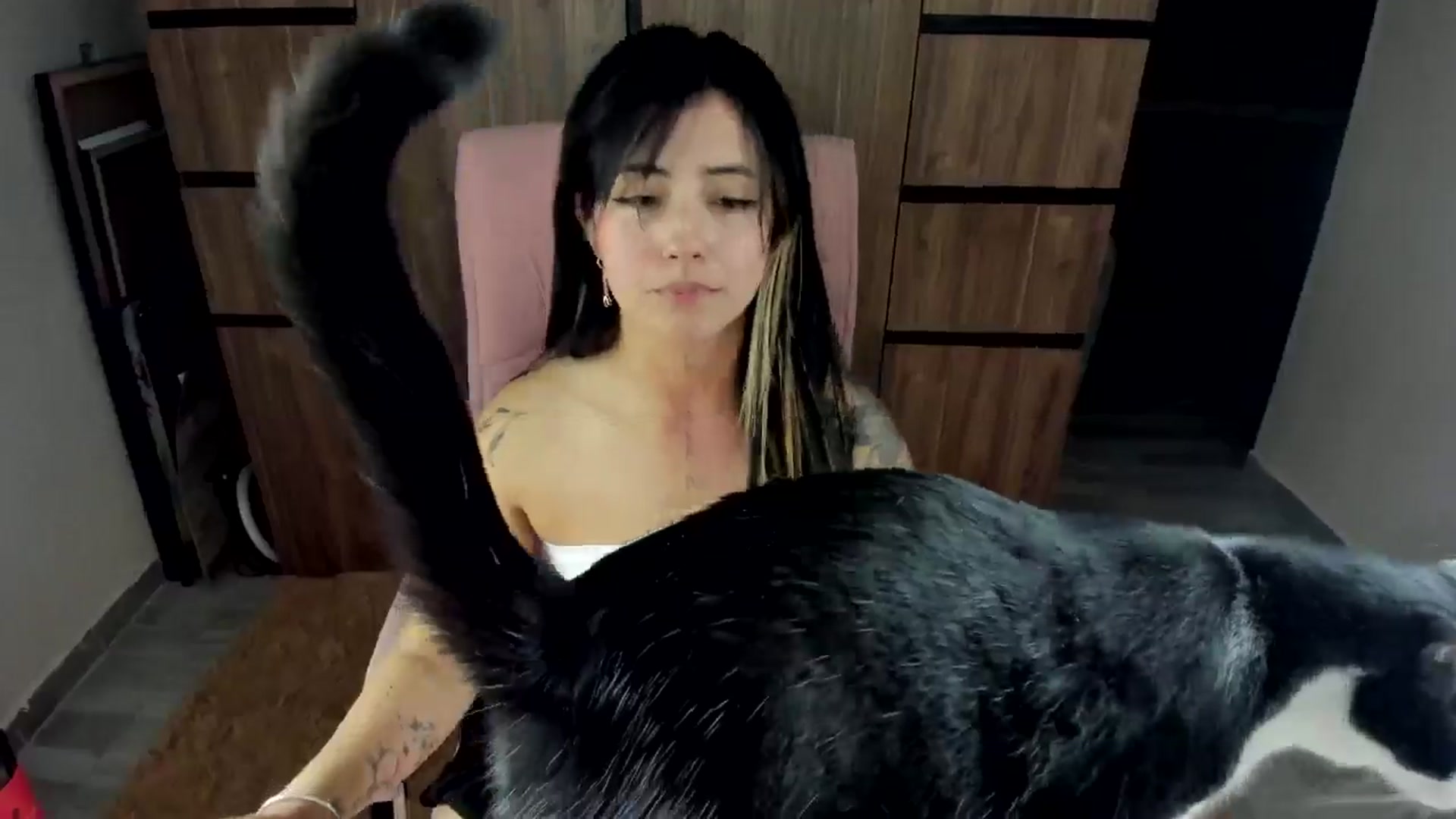 Gallery image thumbnail from Little_sune's myfreecams stream on, 11/12/2025, 01:55 image 20 of 20