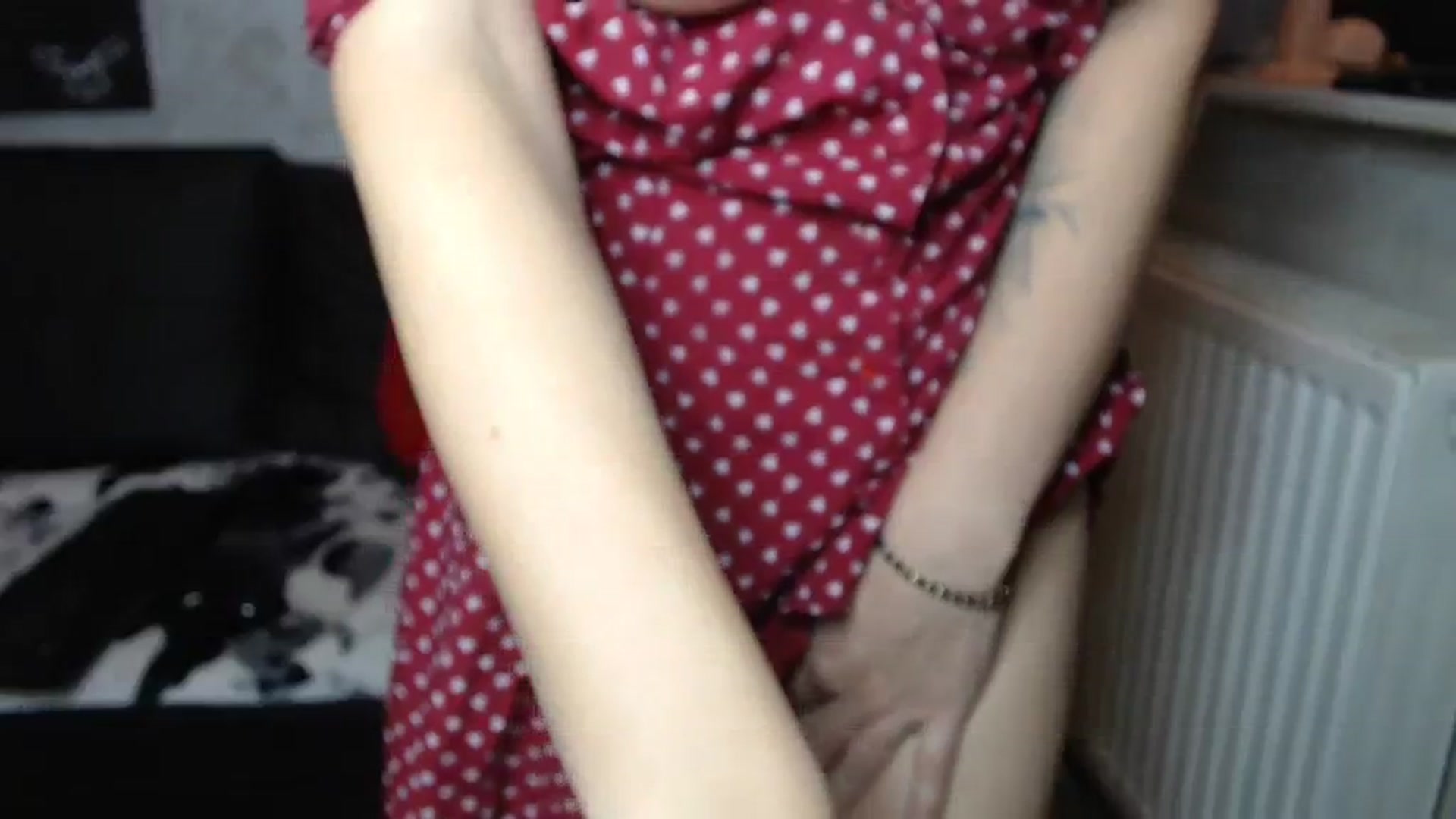 Gallery image thumbnail from Littlegirl25's myfreecams stream on, 12/08/2023, 09:23 image 18 of 20