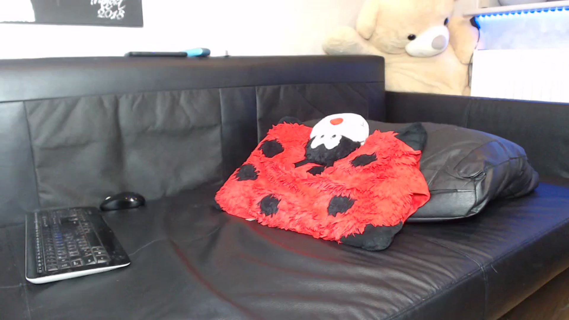 Gallery image thumbnail from Littlegirl25's myfreecams stream on, 01/30/2024, 24:01 image 12 of 20