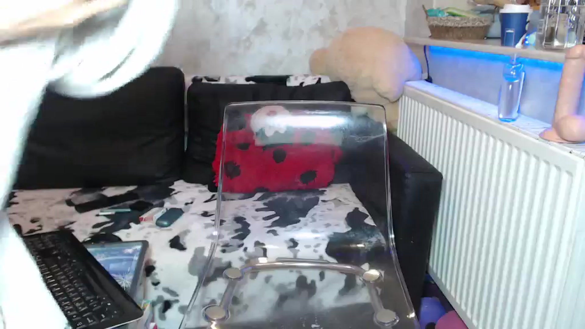 Gallery image thumbnail from Littlegirl25's myfreecams stream on, 06/05/2024, 24:10 image 8 of 20