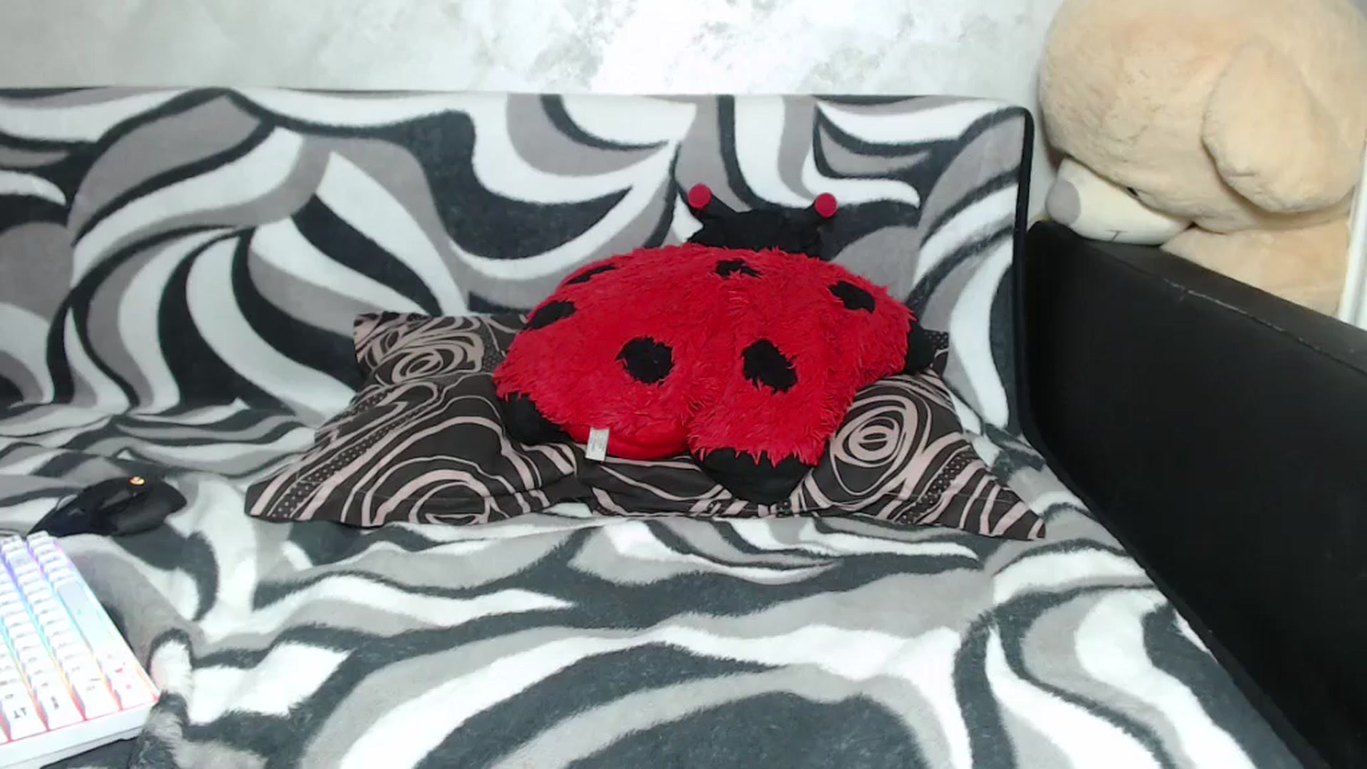 Gallery image thumbnail from Littlegirl25's myfreecams stream on, 07/12/2024, 12:24 image 1 of 20