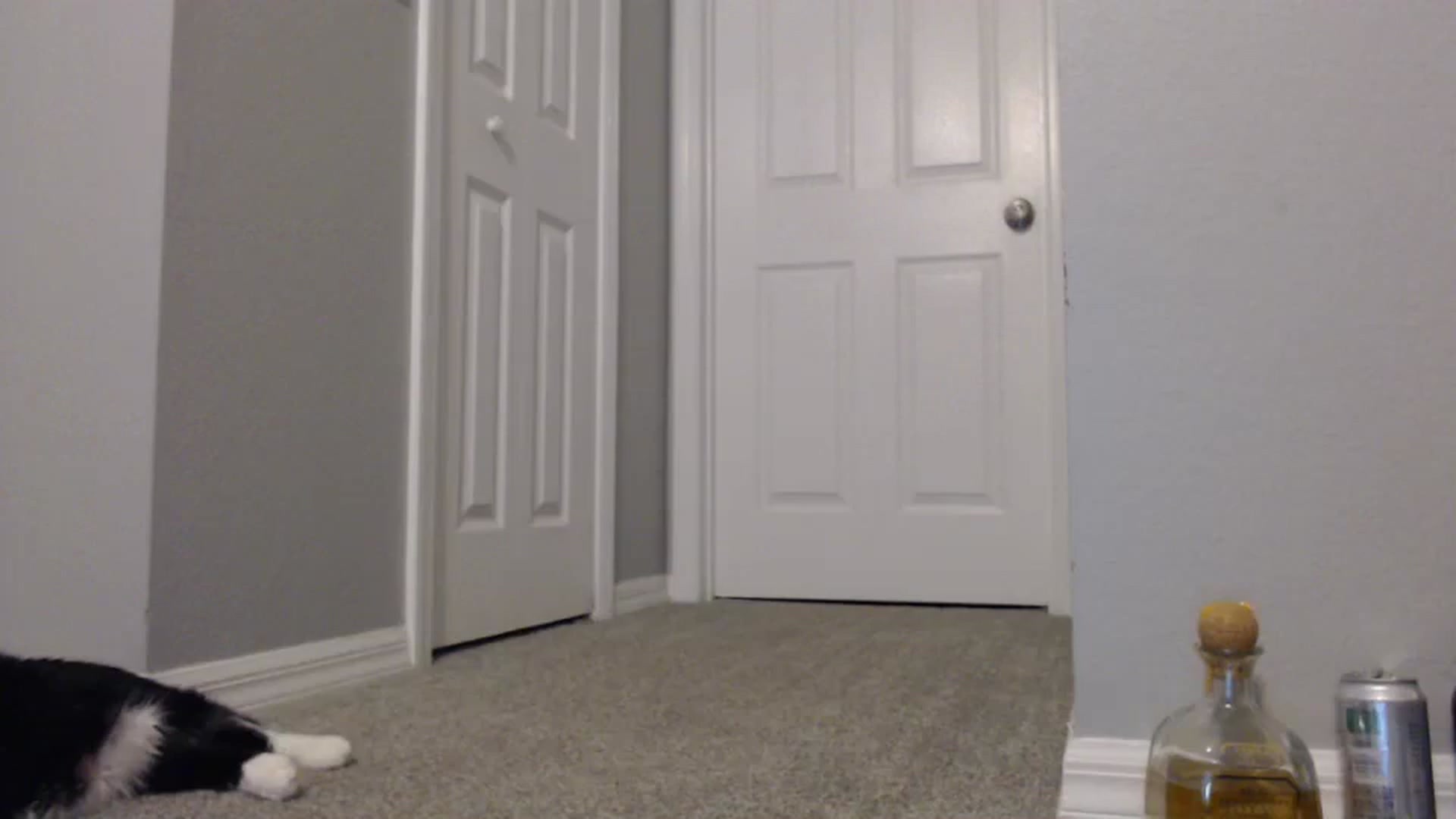 Gallery image thumbnail from Littlekai2023's myfreecams stream on, 01/31/2024, 03:50 image 12 of 20