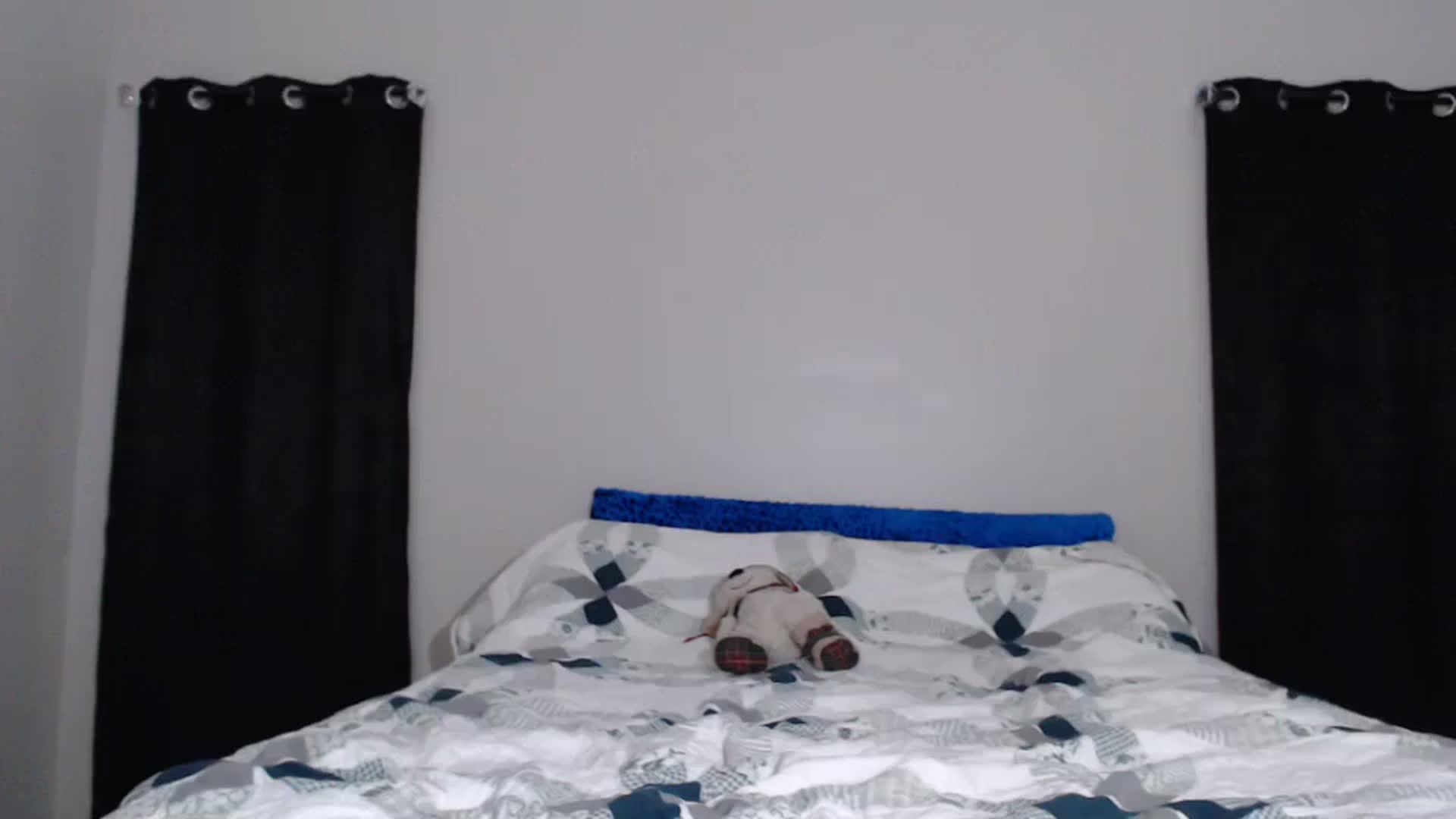 Gallery image thumbnail from Littlekai2023's myfreecams stream on, 05/06/2024, 02:44 image 6 of 20